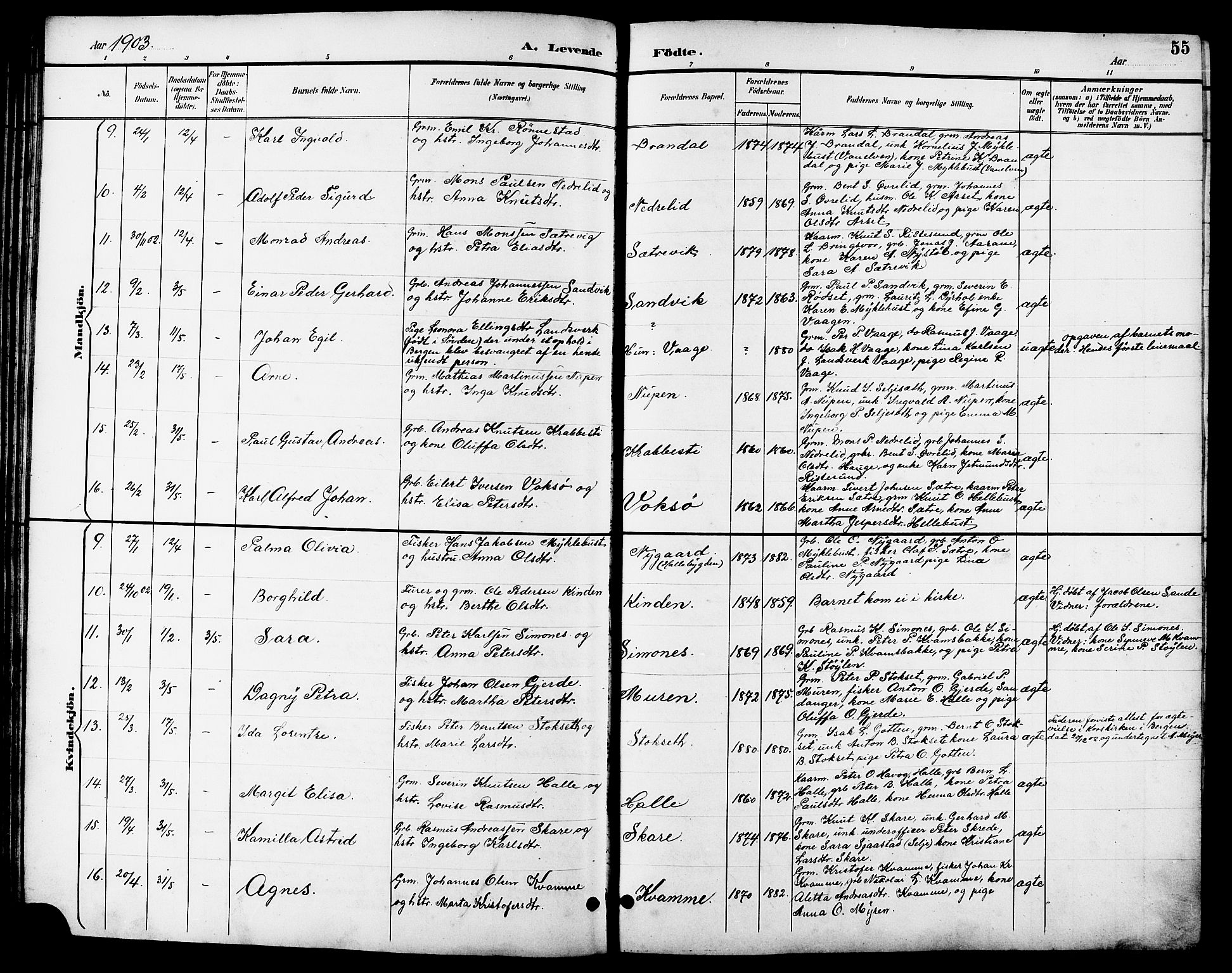 Ministerialprotokoller, klokkerbøker og fødselsregistre - Møre og Romsdal, AV/SAT-A-1454/503/L0049: Parish register (copy) no. 503C04, 1894-1915, p. 55