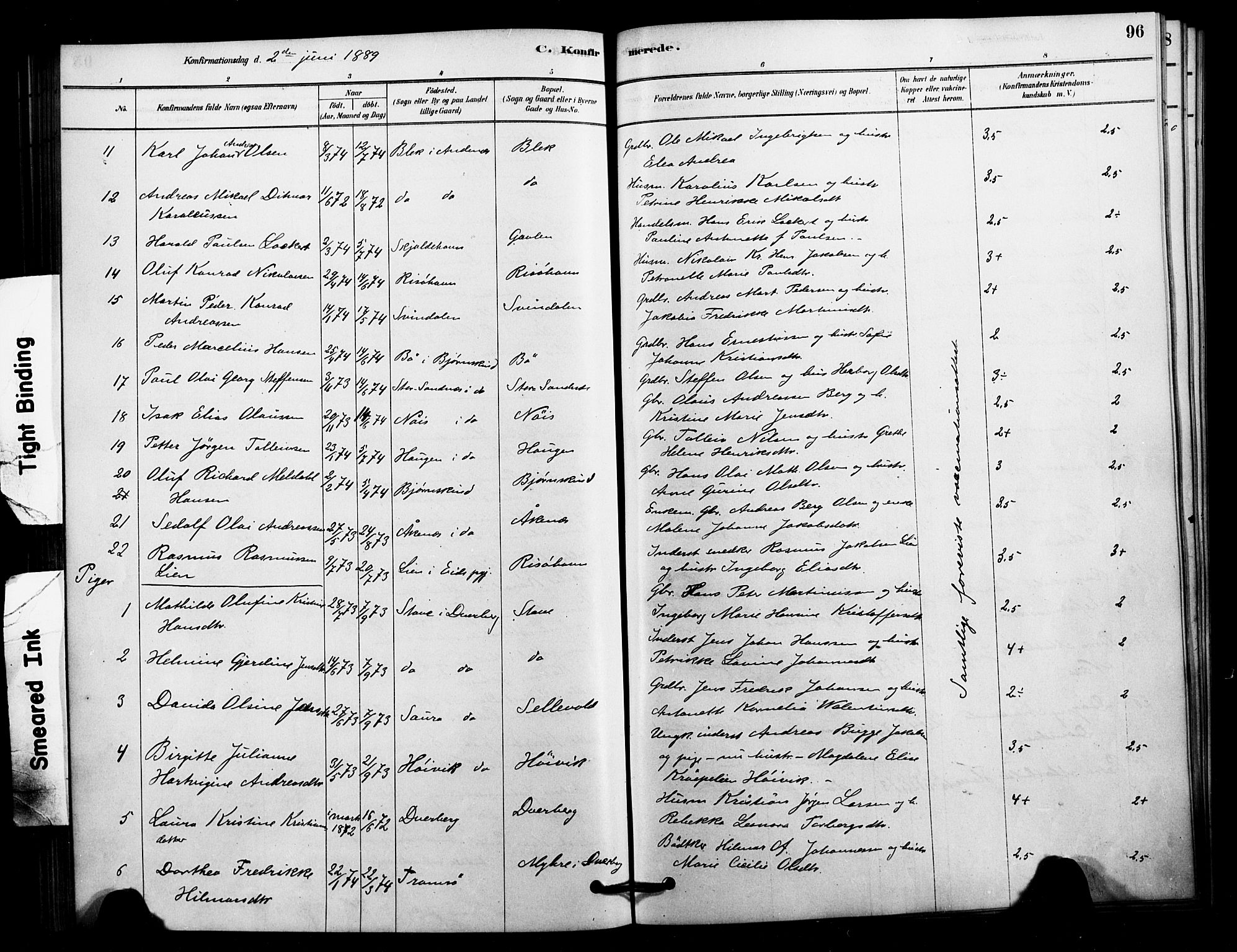 Ministerialprotokoller, klokkerbøker og fødselsregistre - Nordland, AV/SAT-A-1459/897/L1399: Parish register (official) no. 897C06, 1881-1896, p. 96