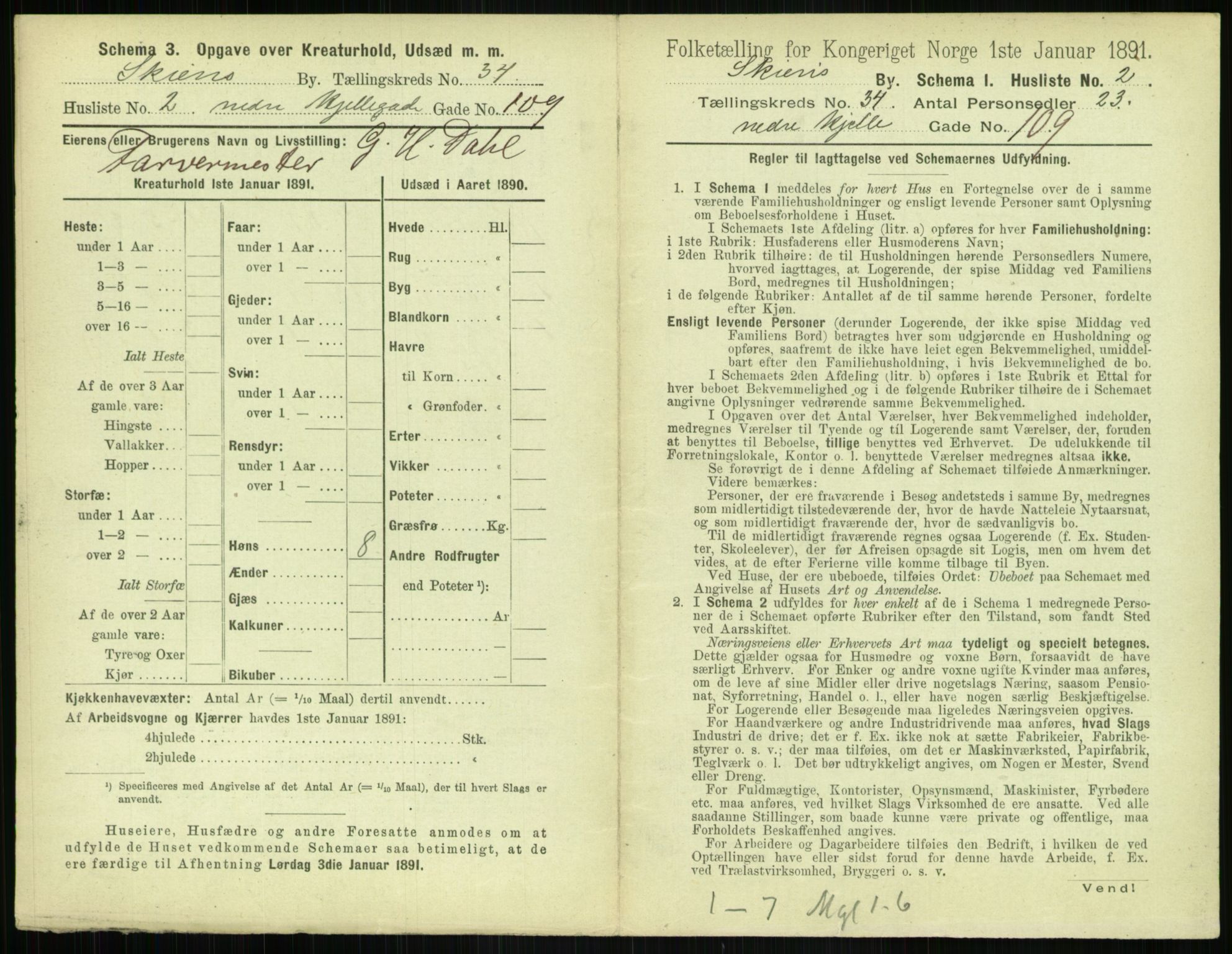 RA, 1891 census for 0806 Skien, 1891, p. 1336