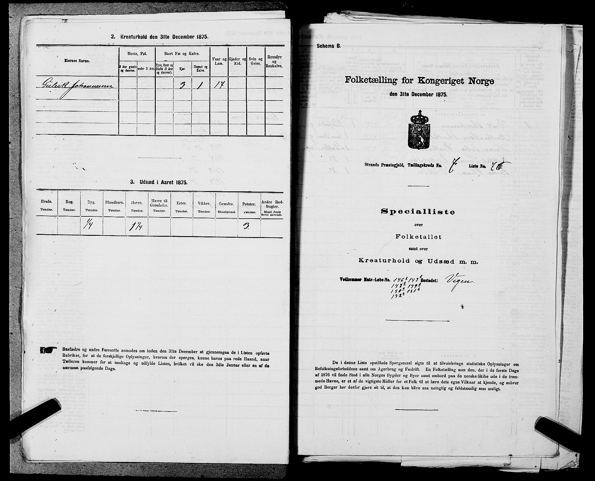 SAST, 1875 census for 1130P Strand, 1875, p. 718