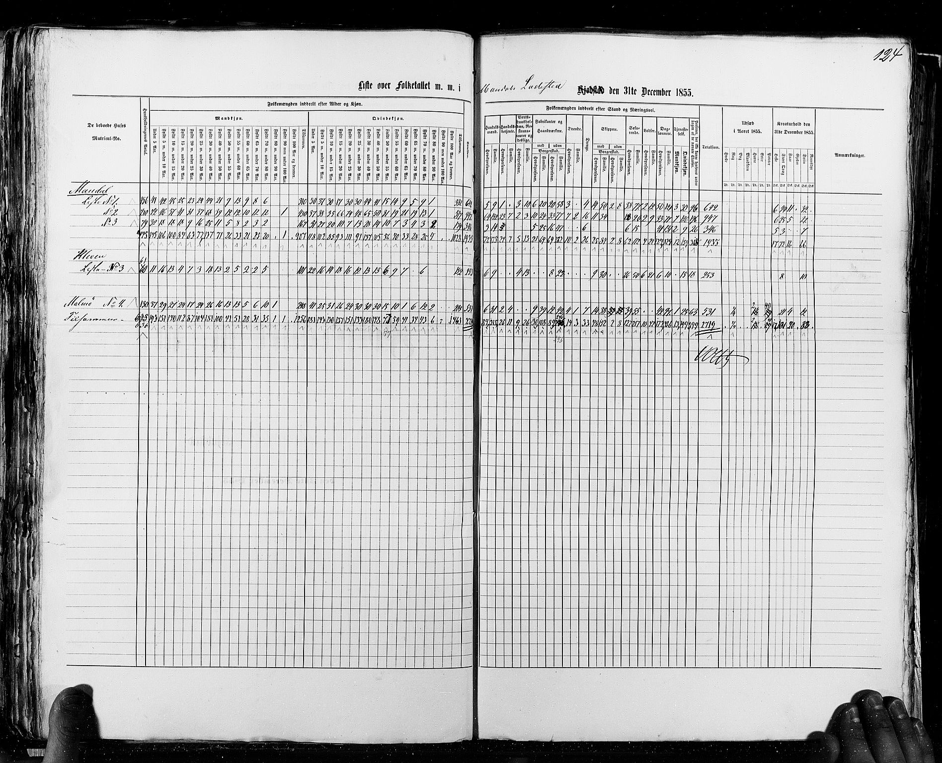 RA, Census 1855, vol. 8: Risør-Vadsø, 1855, p. 124