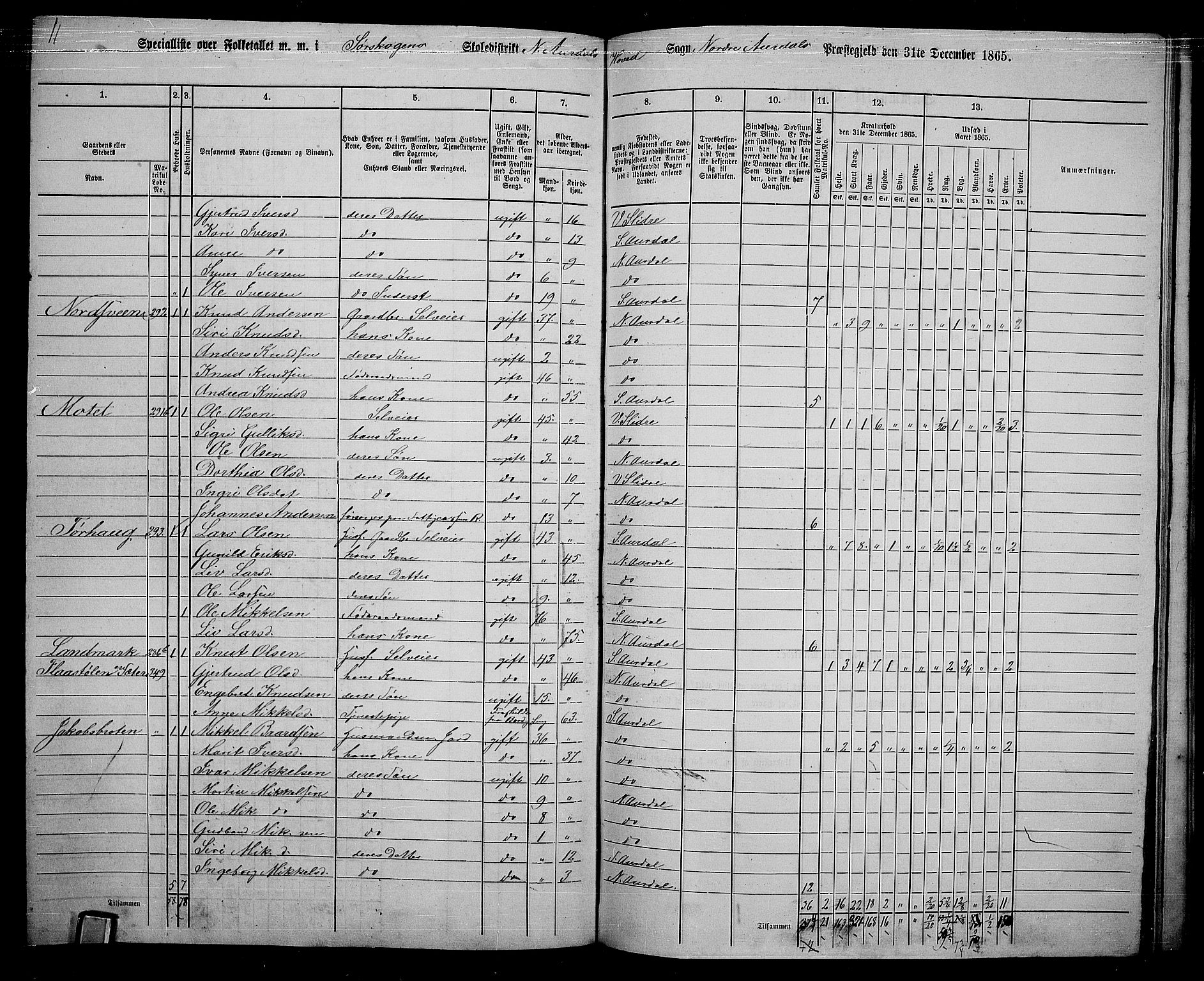 RA, 1865 census for Nord-Aurdal, 1865, p. 205