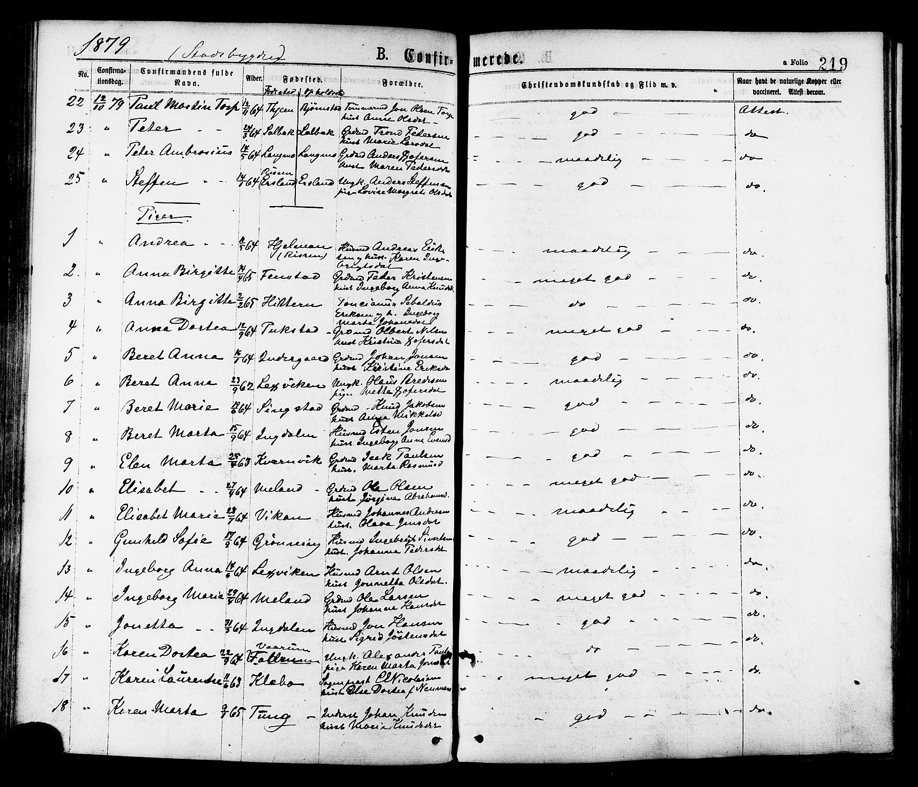 Ministerialprotokoller, klokkerbøker og fødselsregistre - Sør-Trøndelag, SAT/A-1456/646/L0613: Parish register (official) no. 646A11, 1870-1884, p. 219