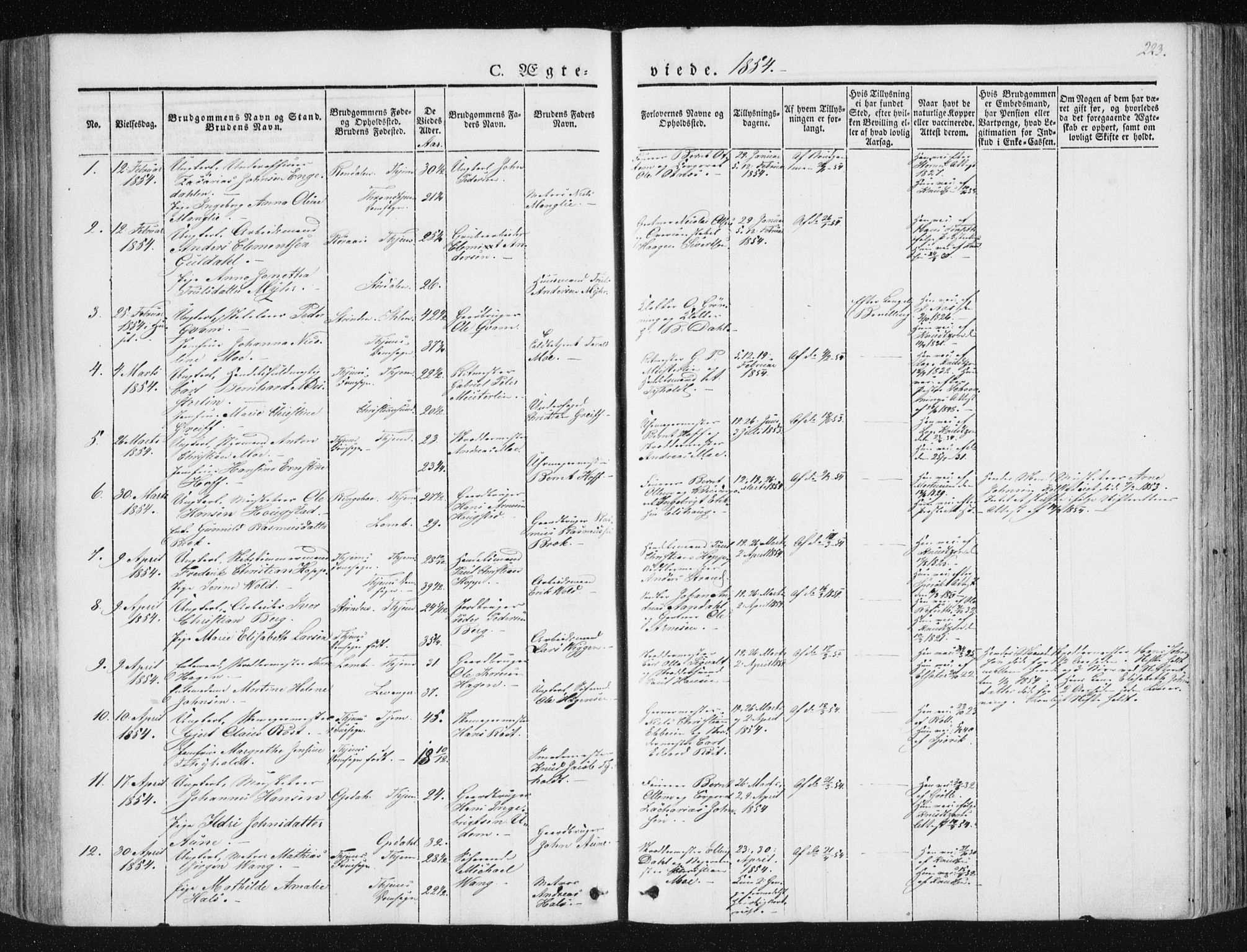 Ministerialprotokoller, klokkerbøker og fødselsregistre - Sør-Trøndelag, SAT/A-1456/602/L0110: Parish register (official) no. 602A08, 1840-1854, p. 223