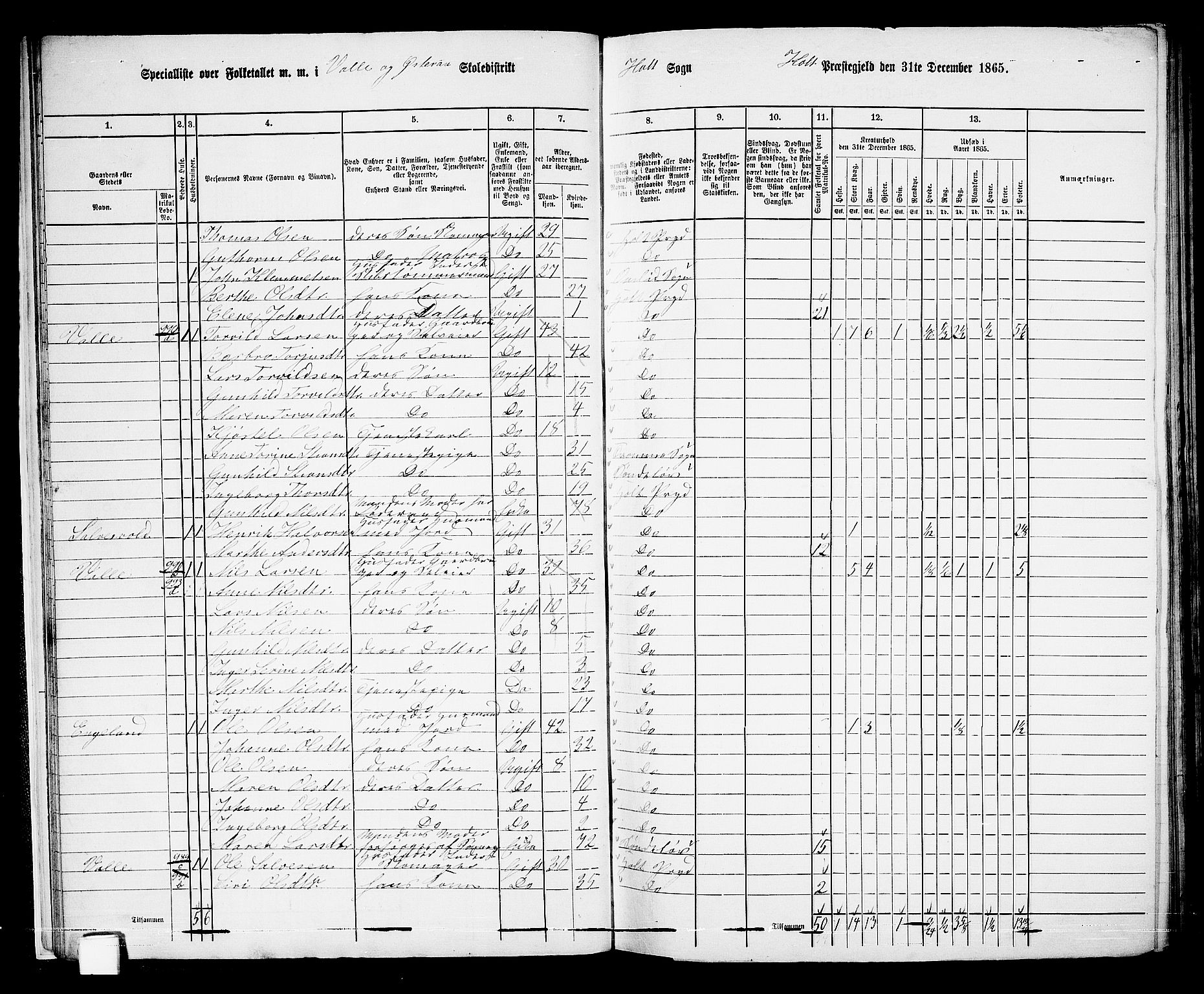 RA, 1865 census for Holt/Holt, 1865, p. 23