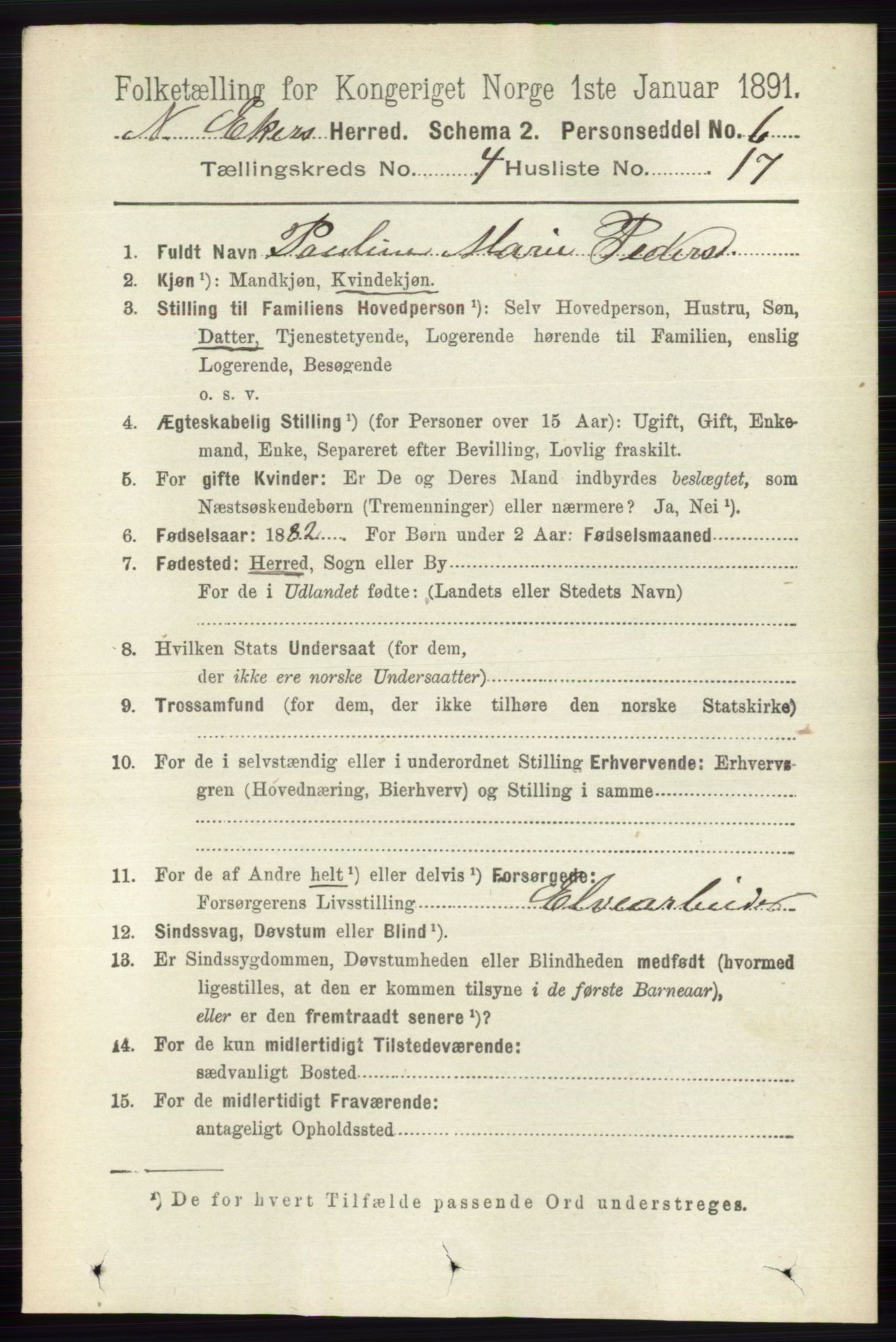 RA, 1891 census for 0625 Nedre Eiker, 1891, p. 2041