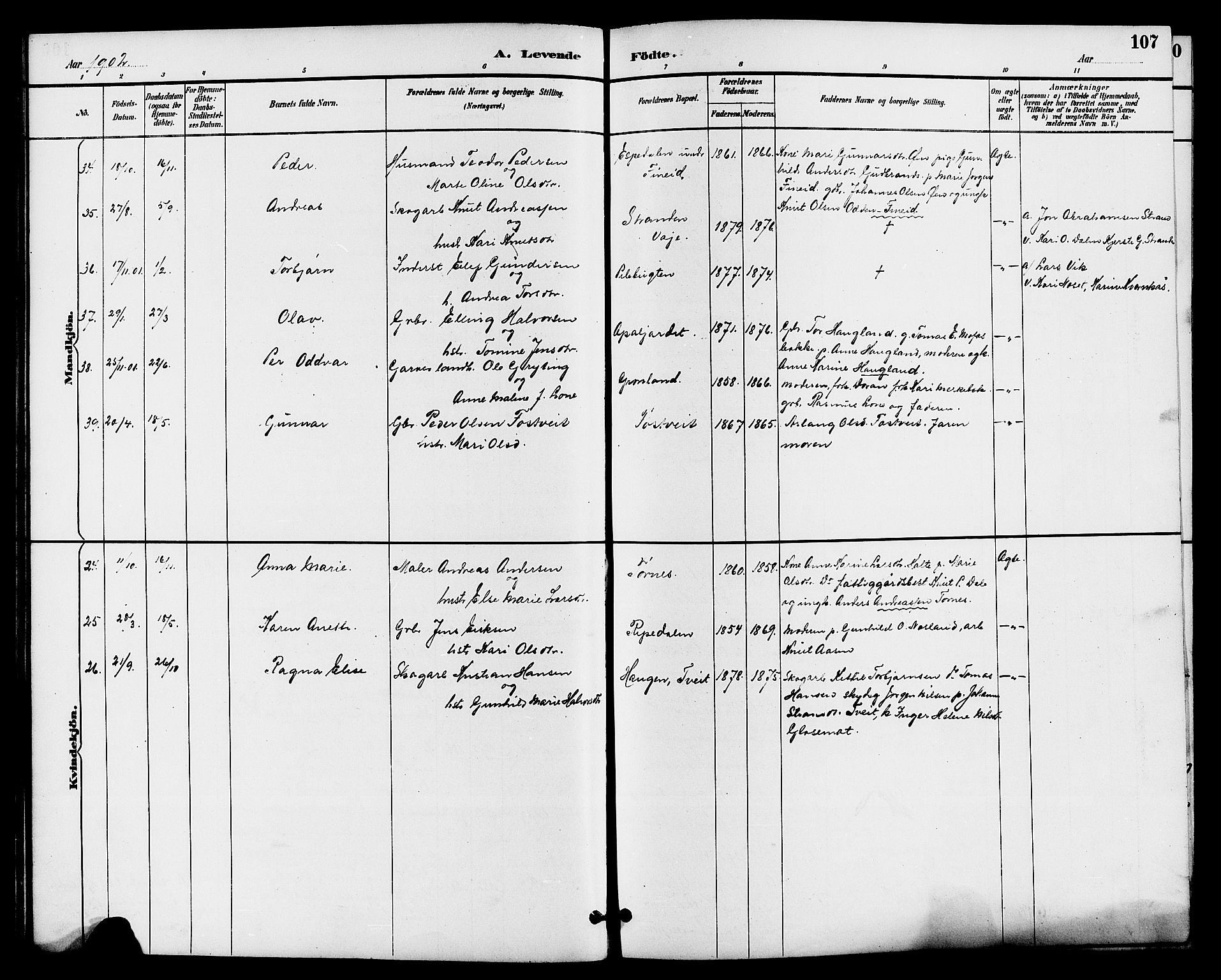 Drangedal kirkebøker, SAKO/A-258/G/Ga/L0003: Parish register (copy) no. I 3, 1887-1906, p. 107