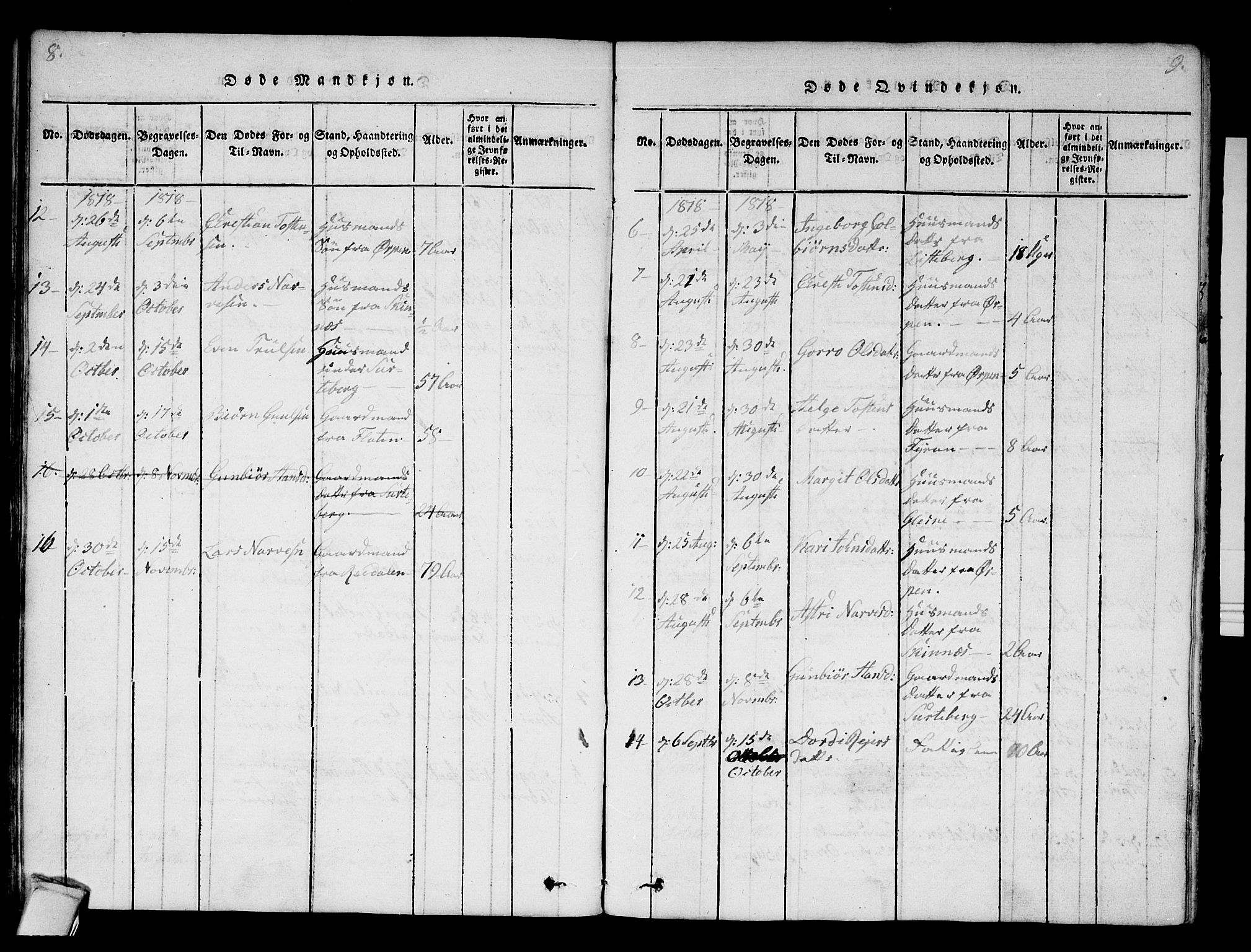 Krødsherad kirkebøker, SAKO/A-19/F/Fa/L0001: Parish register (official) no. 1, 1815-1829, p. 8-9