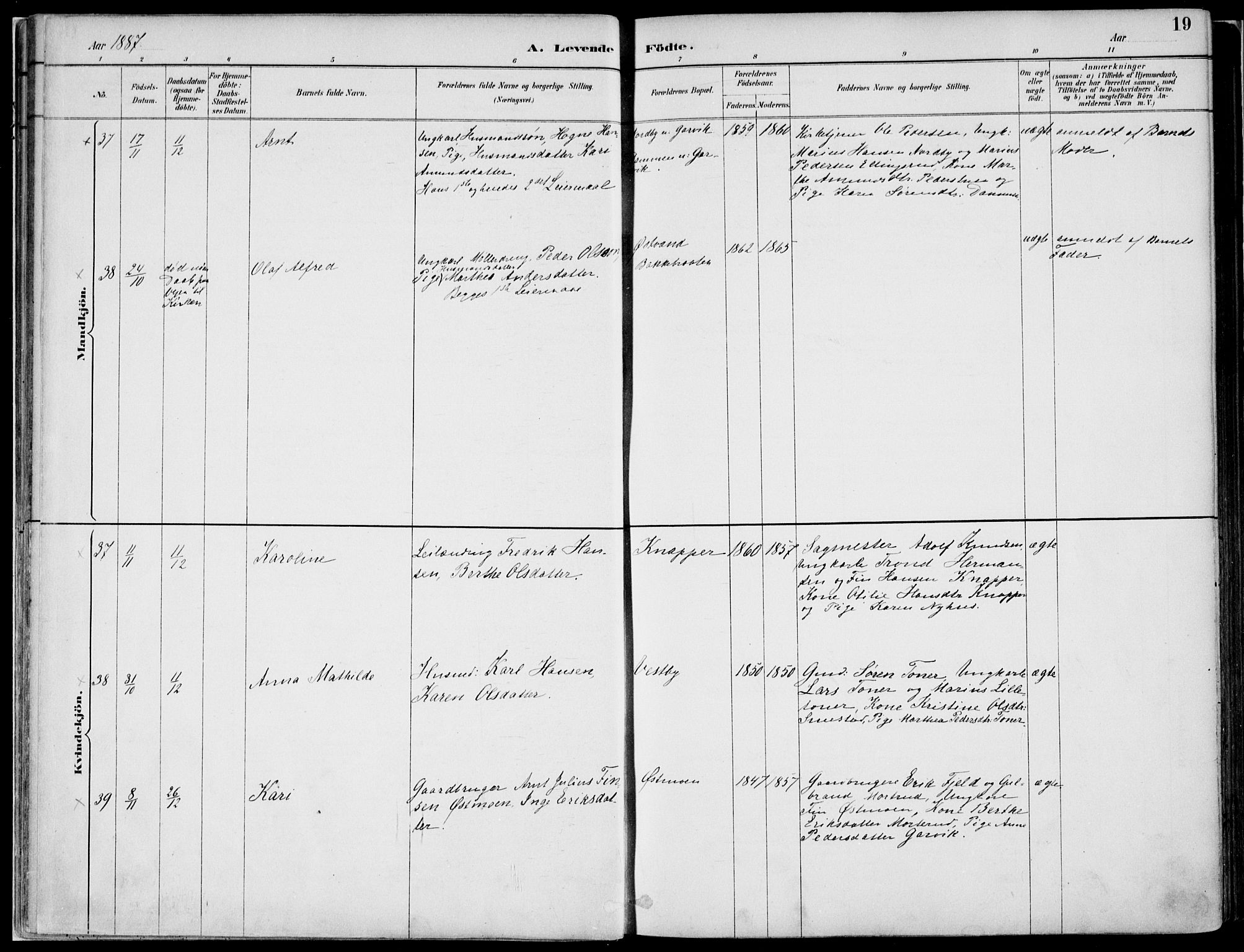 Nord-Odal prestekontor, AV/SAH-PREST-032/H/Ha/Haa/L0008: Parish register (official) no. 8, 1886-1901, p. 19