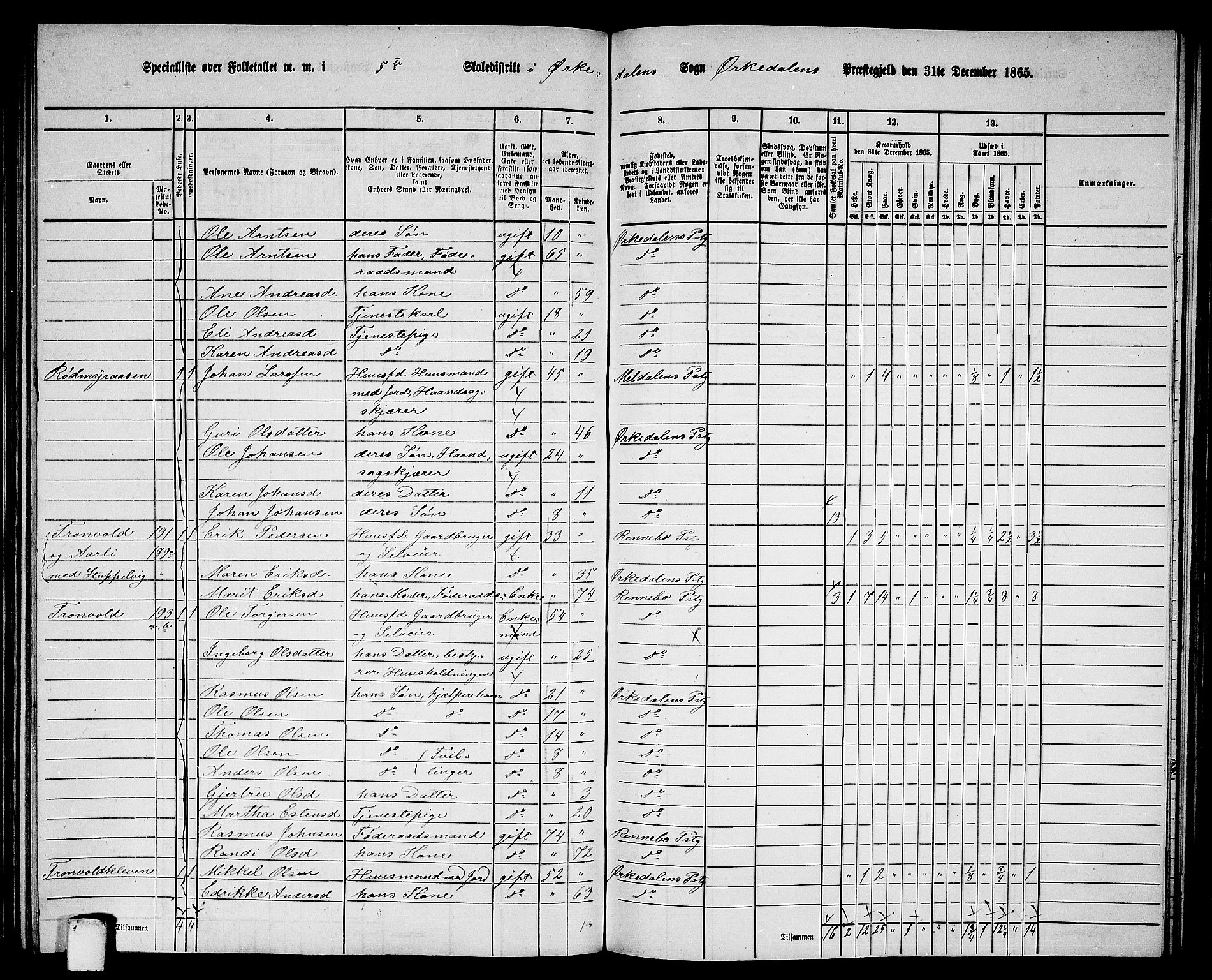 RA, 1865 census for Orkdal, 1865, p. 172