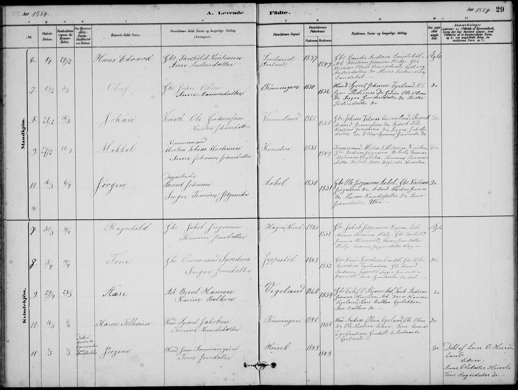 Vennesla sokneprestkontor, AV/SAK-1111-0045/Fb/Fbb/L0003: Parish register (copy) no. B 3, 1879-1893, p. 29