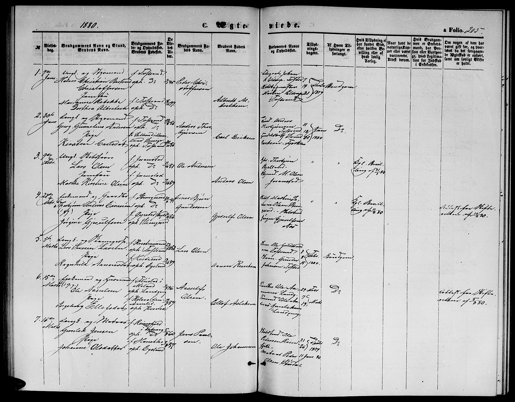 Holt sokneprestkontor, AV/SAK-1111-0021/F/Fb/L0009: Parish register (copy) no. B 9, 1871-1883, p. 205