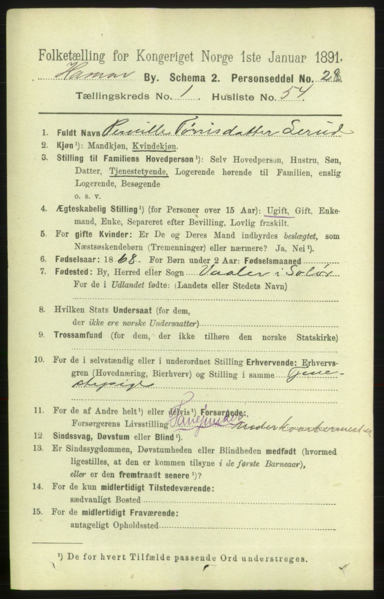 RA, 1891 census for 0401 Hamar, 1891, p. 962