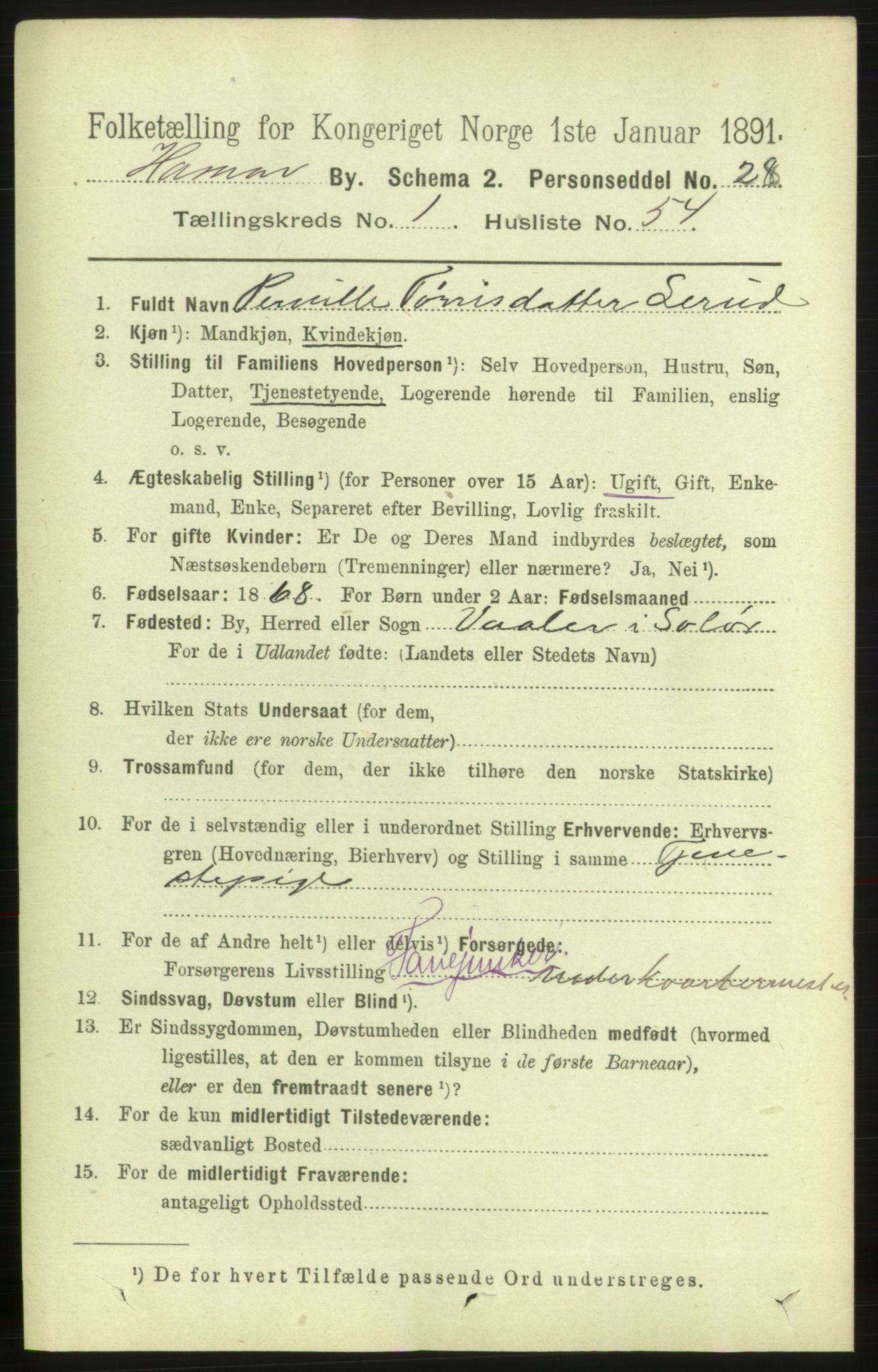 RA, 1891 census for 0401 Hamar, 1891, p. 962