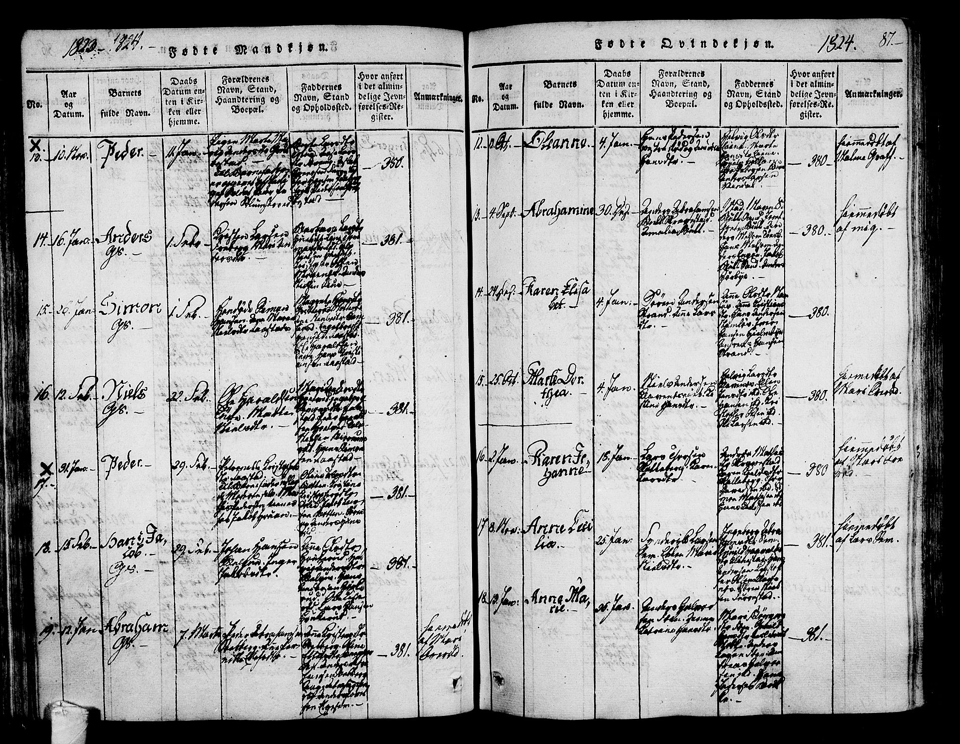 Sandar kirkebøker, AV/SAKO-A-243/F/Fa/L0004: Parish register (official) no. 4, 1814-1832, p. 87