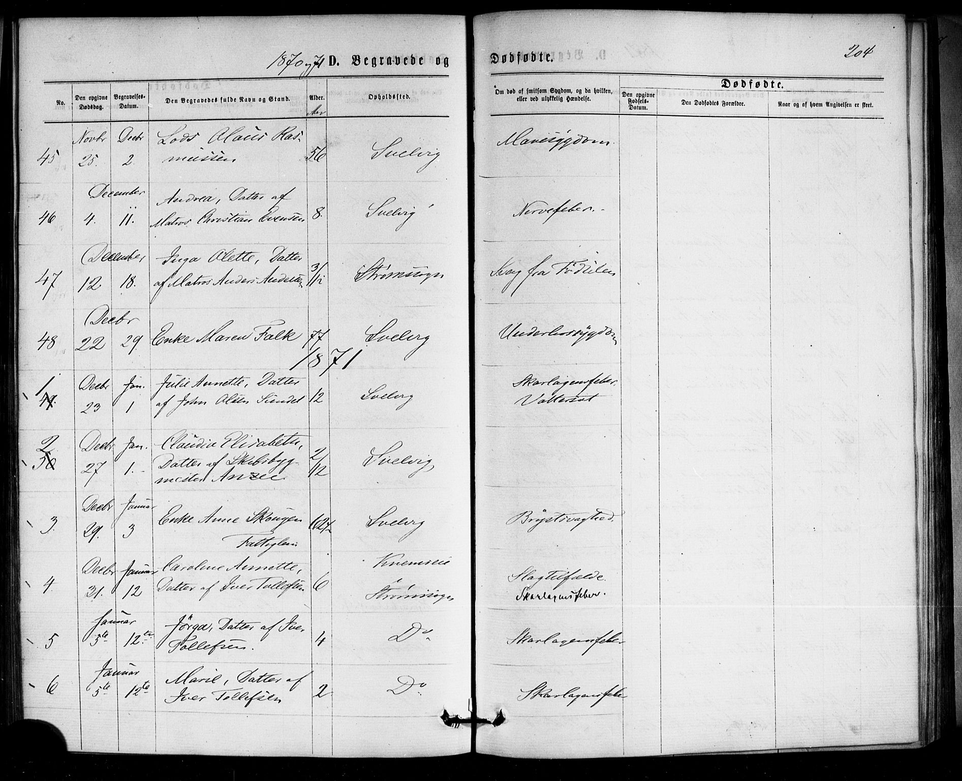 Strømm kirkebøker, SAKO/A-322/F/Fa/L0002: Parish register (official) no. I 2, 1870-1877, p. 204