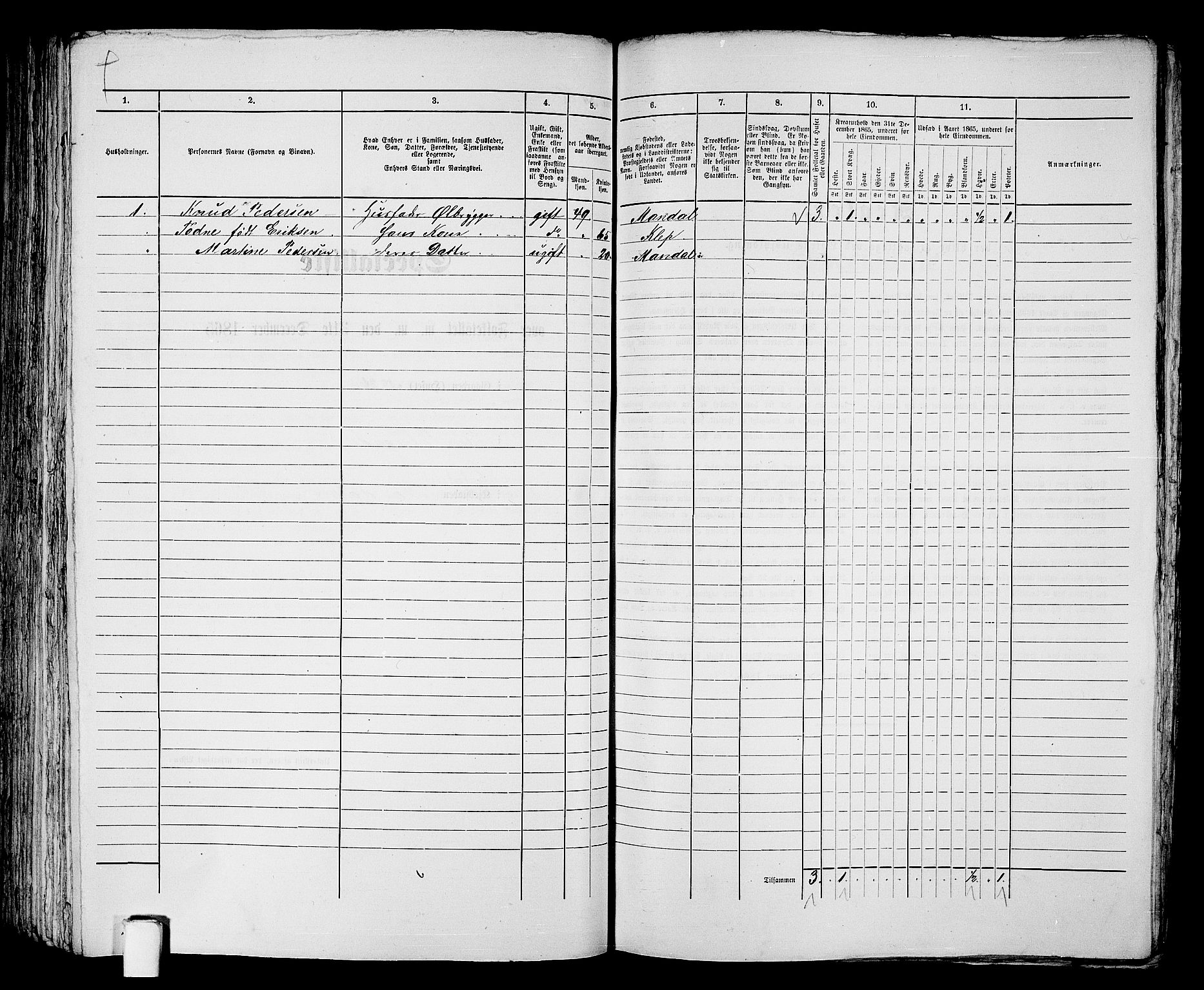 RA, 1865 census for Mandal/Mandal, 1865, p. 163