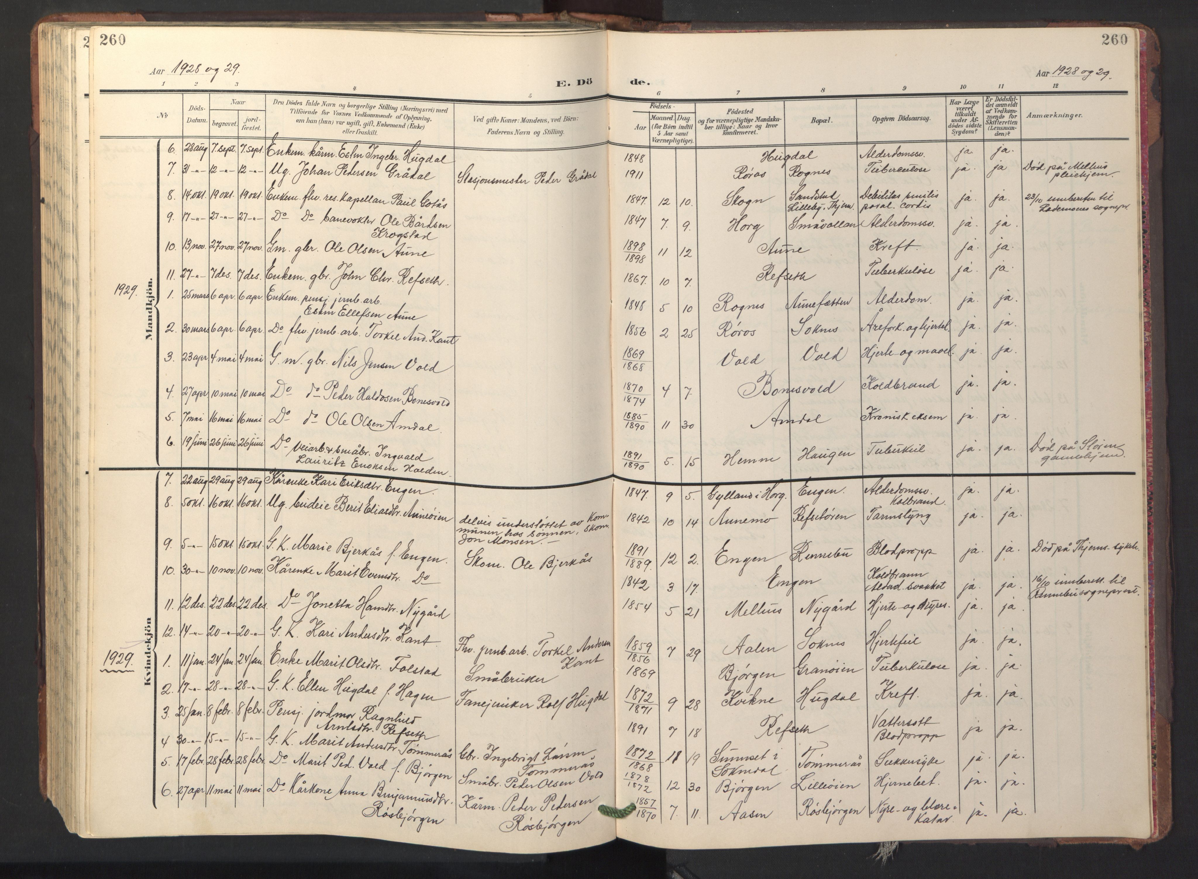 Ministerialprotokoller, klokkerbøker og fødselsregistre - Sør-Trøndelag, SAT/A-1456/687/L1019: Parish register (copy) no. 687C03, 1904-1931, p. 260