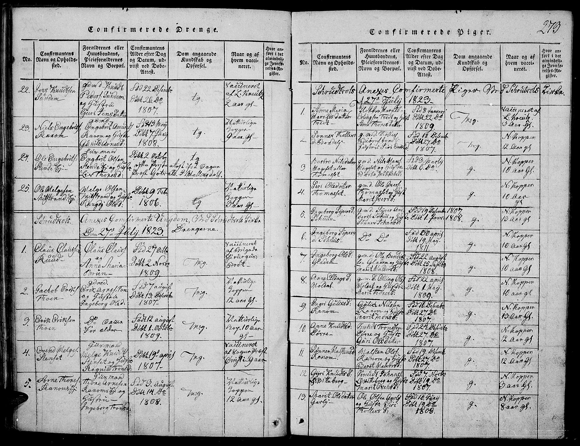 Nord-Aurdal prestekontor, AV/SAH-PREST-132/H/Ha/Haa/L0002: Parish register (official) no. 2, 1816-1828, p. 273