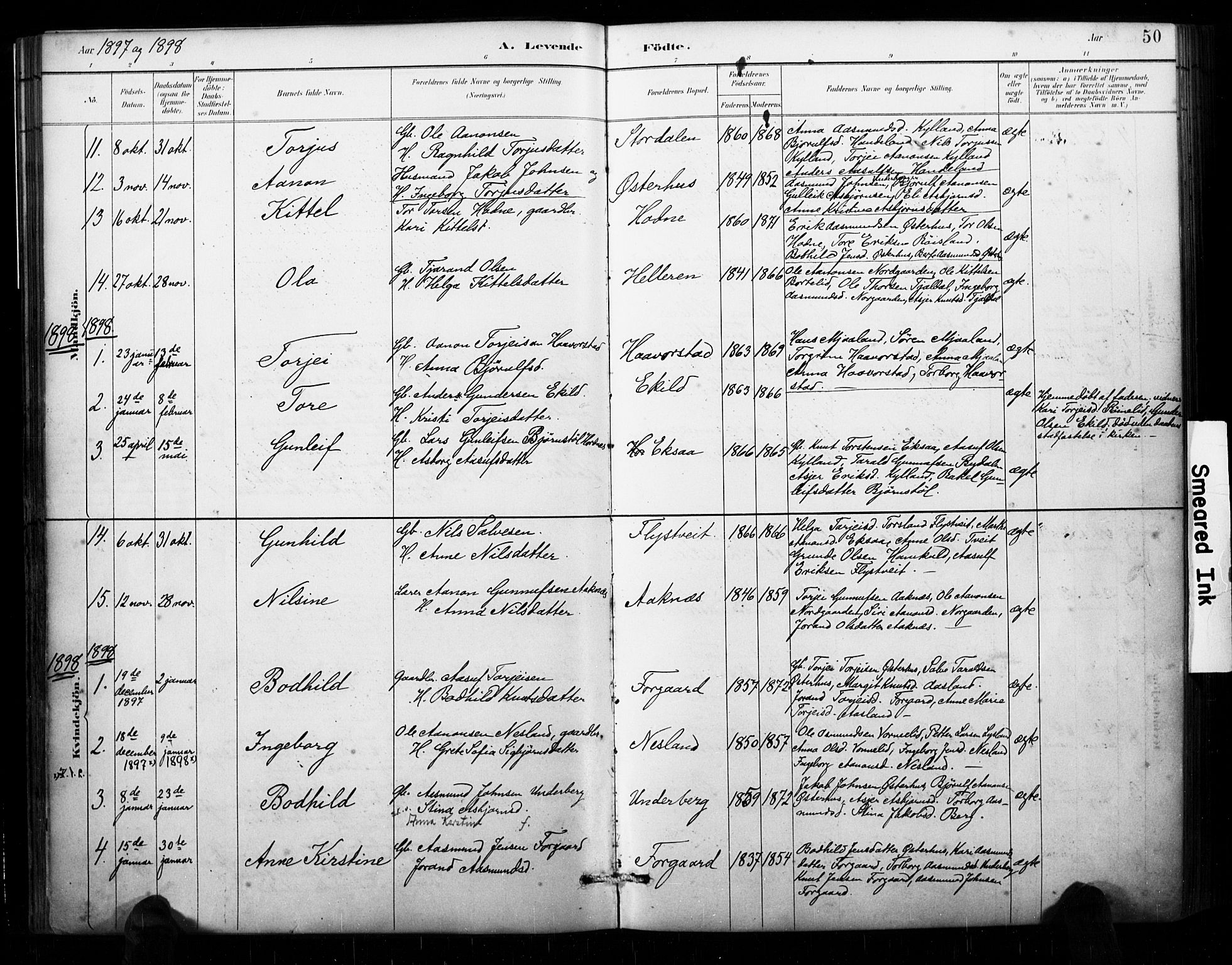 Åseral sokneprestkontor, AV/SAK-1111-0051/F/Fa/L0003: Parish register (official) no. A 3, 1884-1901, p. 50