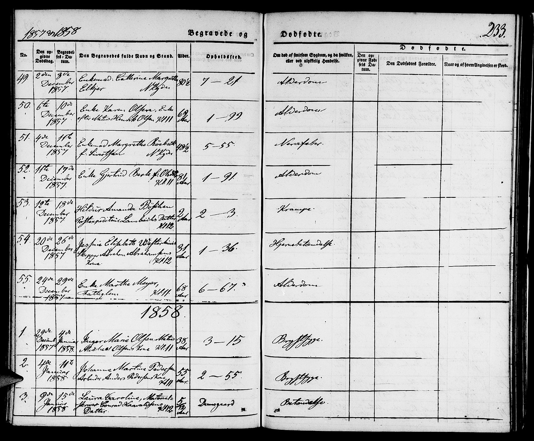 Nykirken Sokneprestembete, SAB/A-77101/H/Hab: Parish register (copy) no. E 1, 1840-1866, p. 233