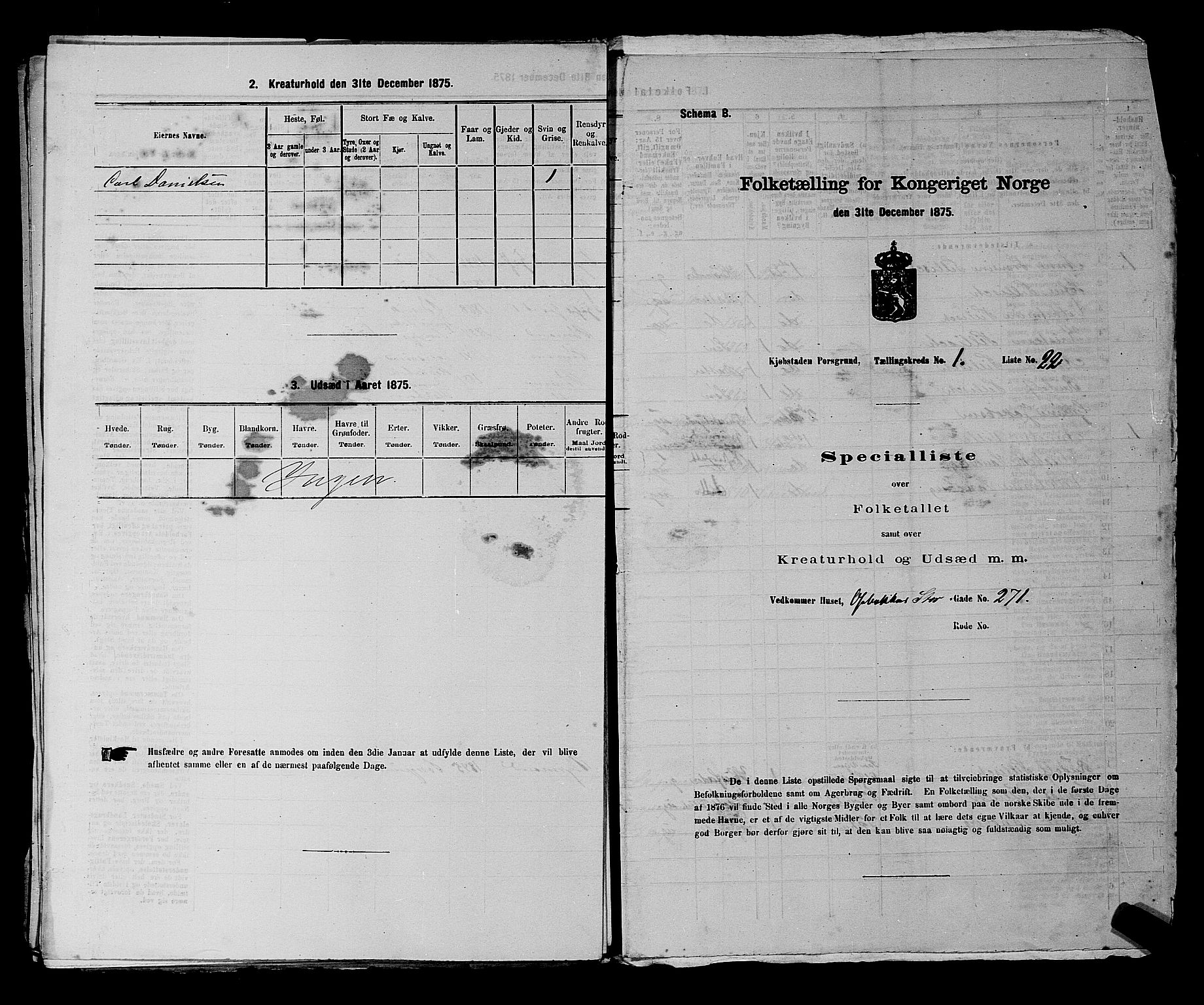 SAKO, 1875 census for 0805P Porsgrunn, 1875, p. 74