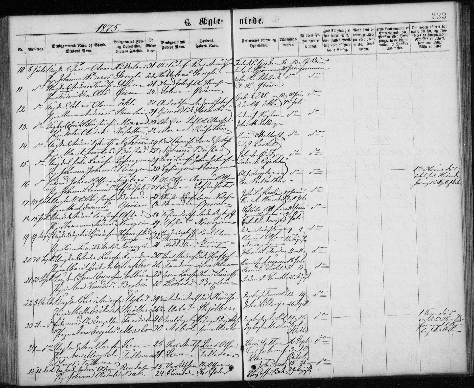 Ministerialprotokoller, klokkerbøker og fødselsregistre - Sør-Trøndelag, SAT/A-1456/668/L0817: Parish register (copy) no. 668C06, 1873-1884, p. 233