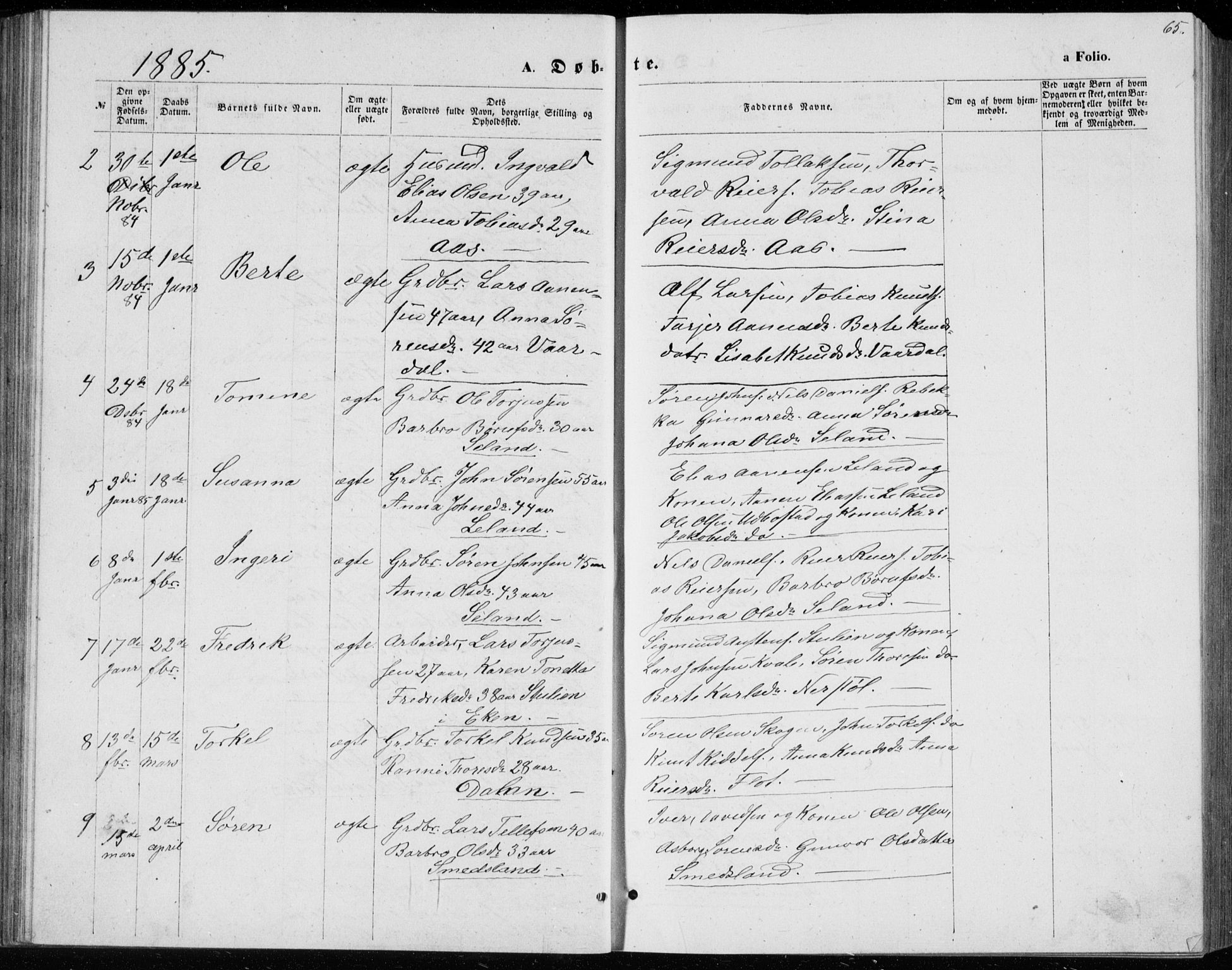 Bjelland sokneprestkontor, AV/SAK-1111-0005/F/Fb/Fbc/L0002: Parish register (copy) no. B 2, 1867-1887, p. 65