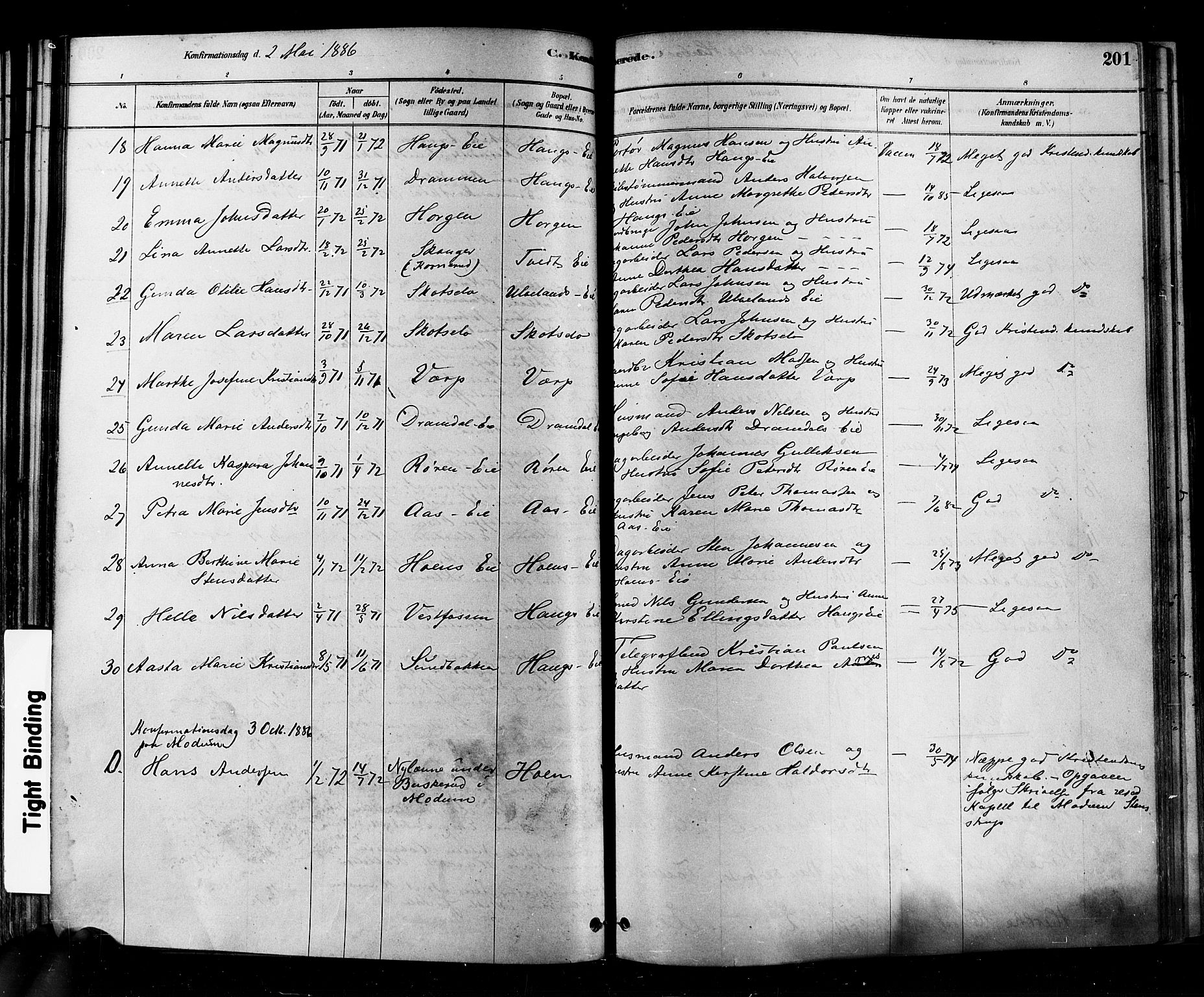 Eiker kirkebøker, AV/SAKO-A-4/F/Fb/L0001: Parish register (official) no. II 1, 1878-1888, p. 201