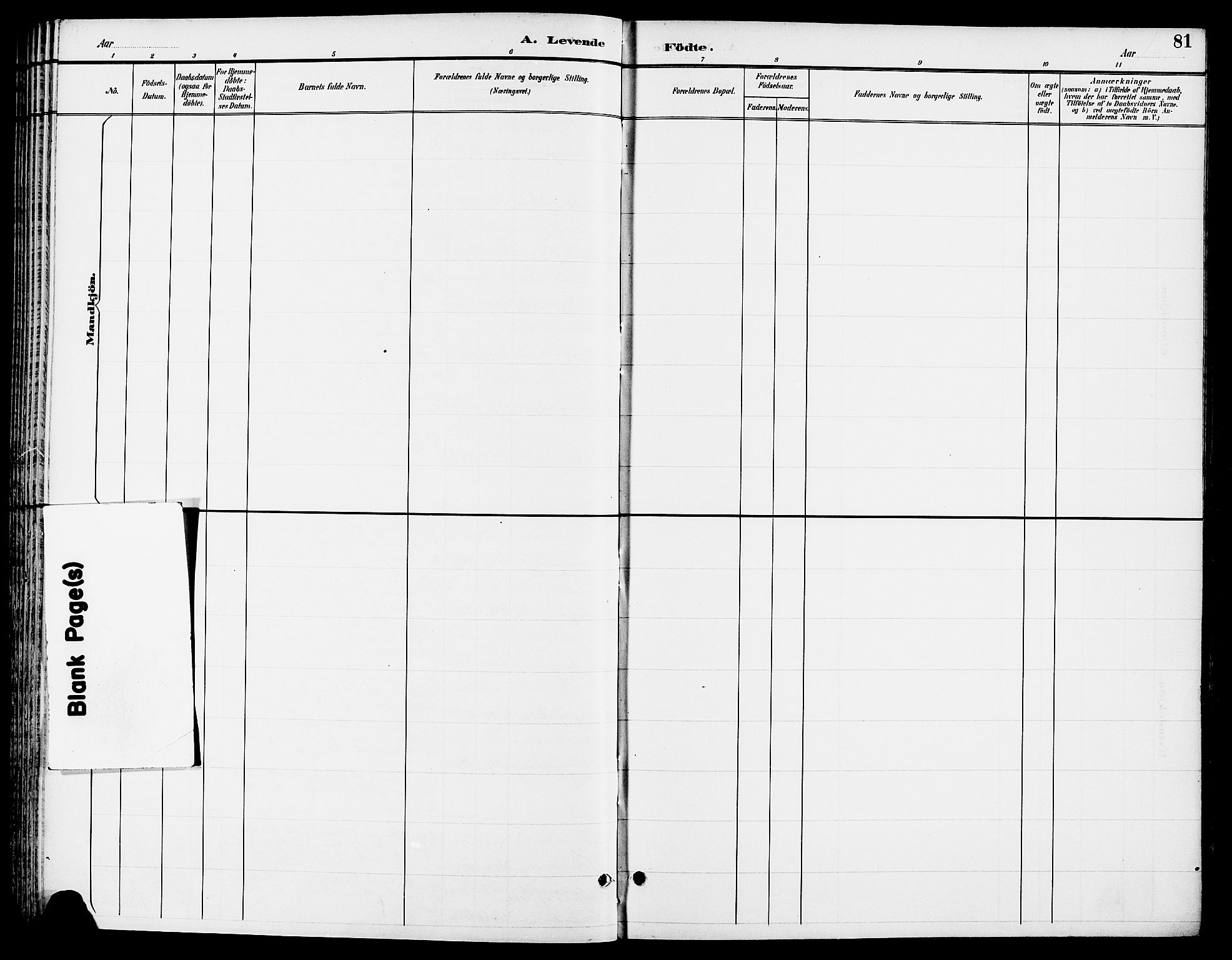 Ringsaker prestekontor, AV/SAH-PREST-014/L/La/L0014: Parish register (copy) no. 14, 1891-1904, p. 81