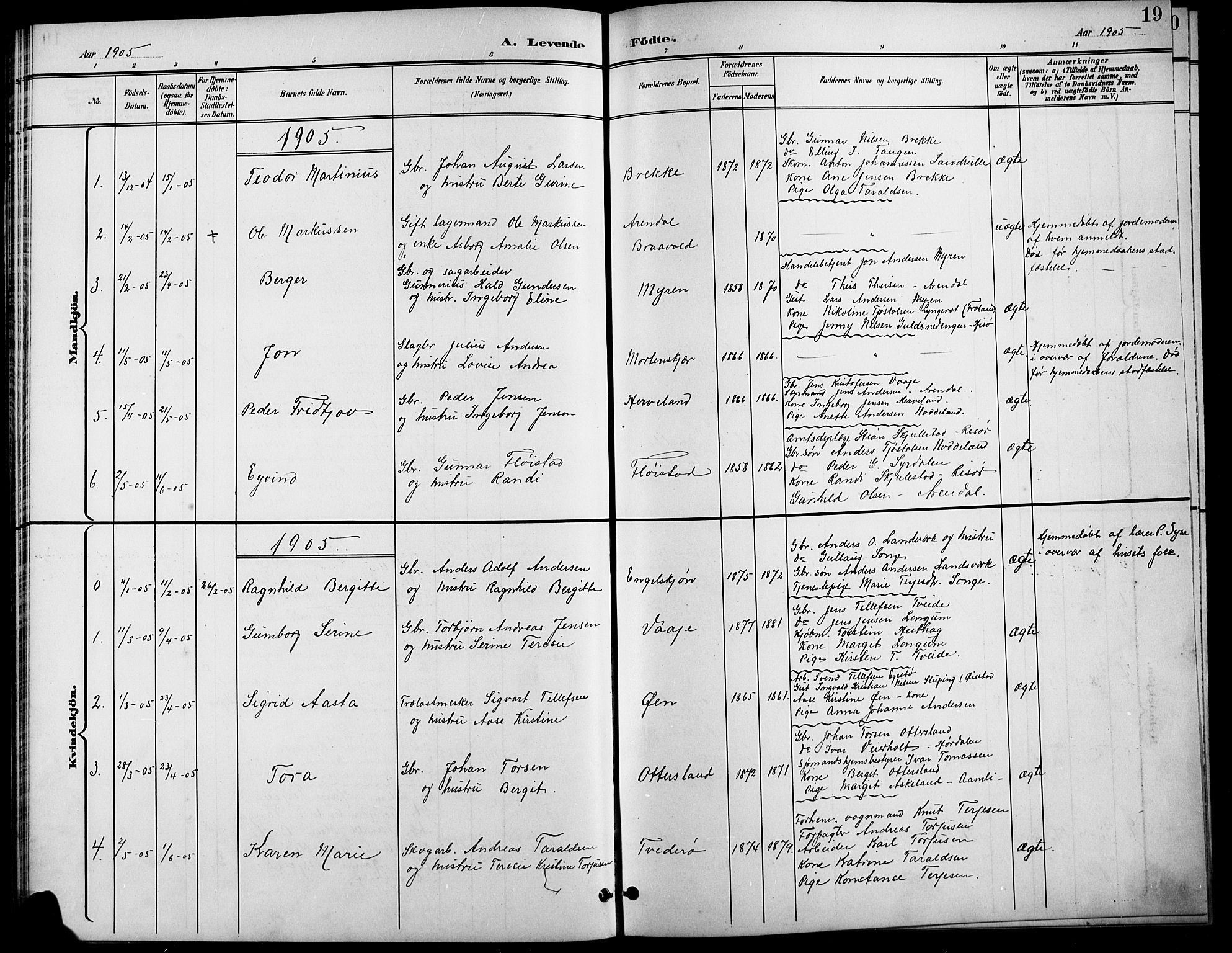 Austre Moland sokneprestkontor, SAK/1111-0001/F/Fb/Fba/L0004: Parish register (copy) no. B 4a, 1897-1913, p. 19