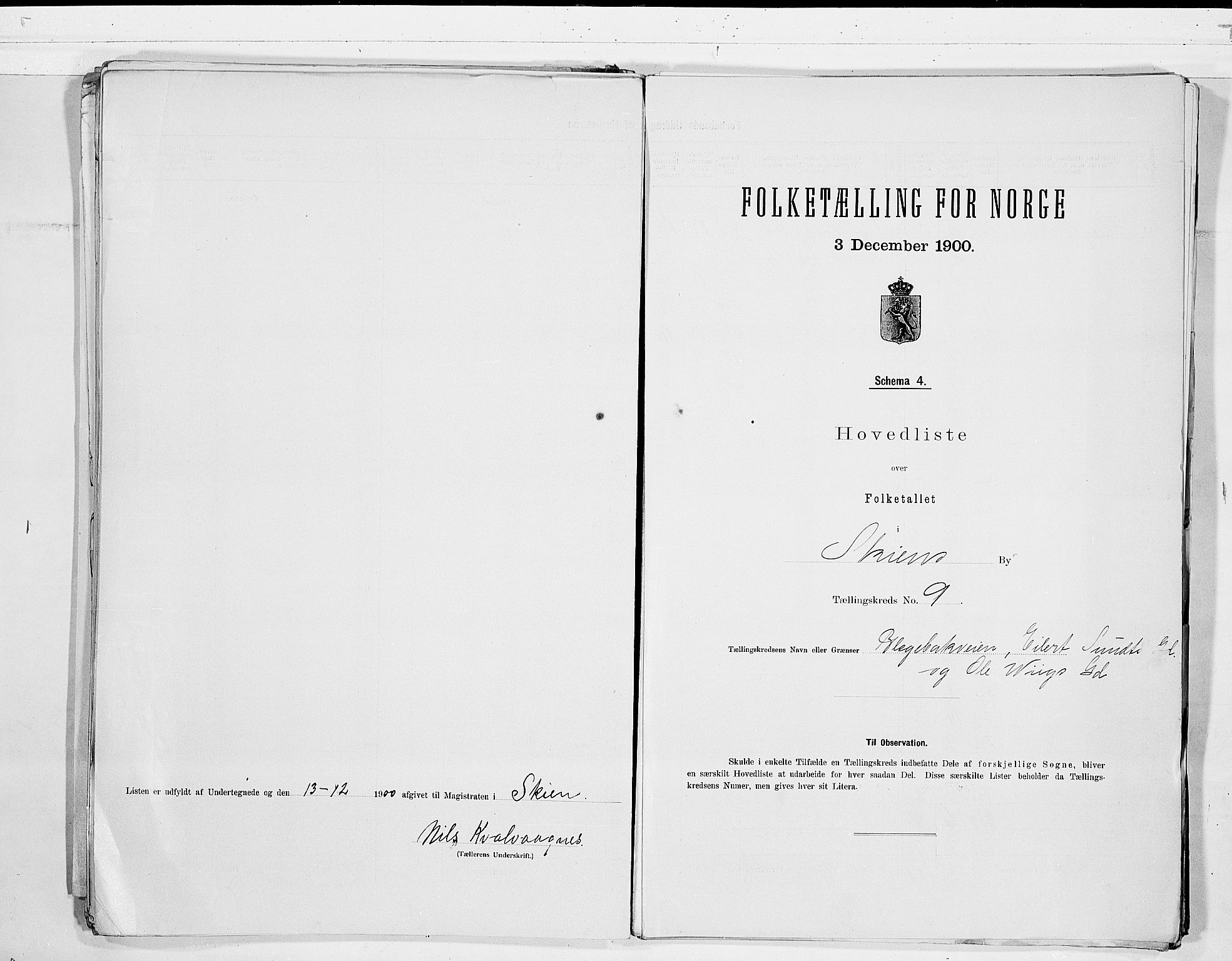 SAKO, 1900 census for Skien, 1900, p. 20