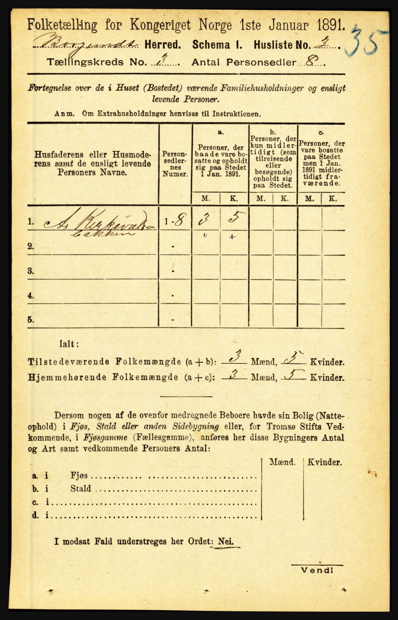 RA, 1891 census for 1423 Borgund, 1891, p. 528