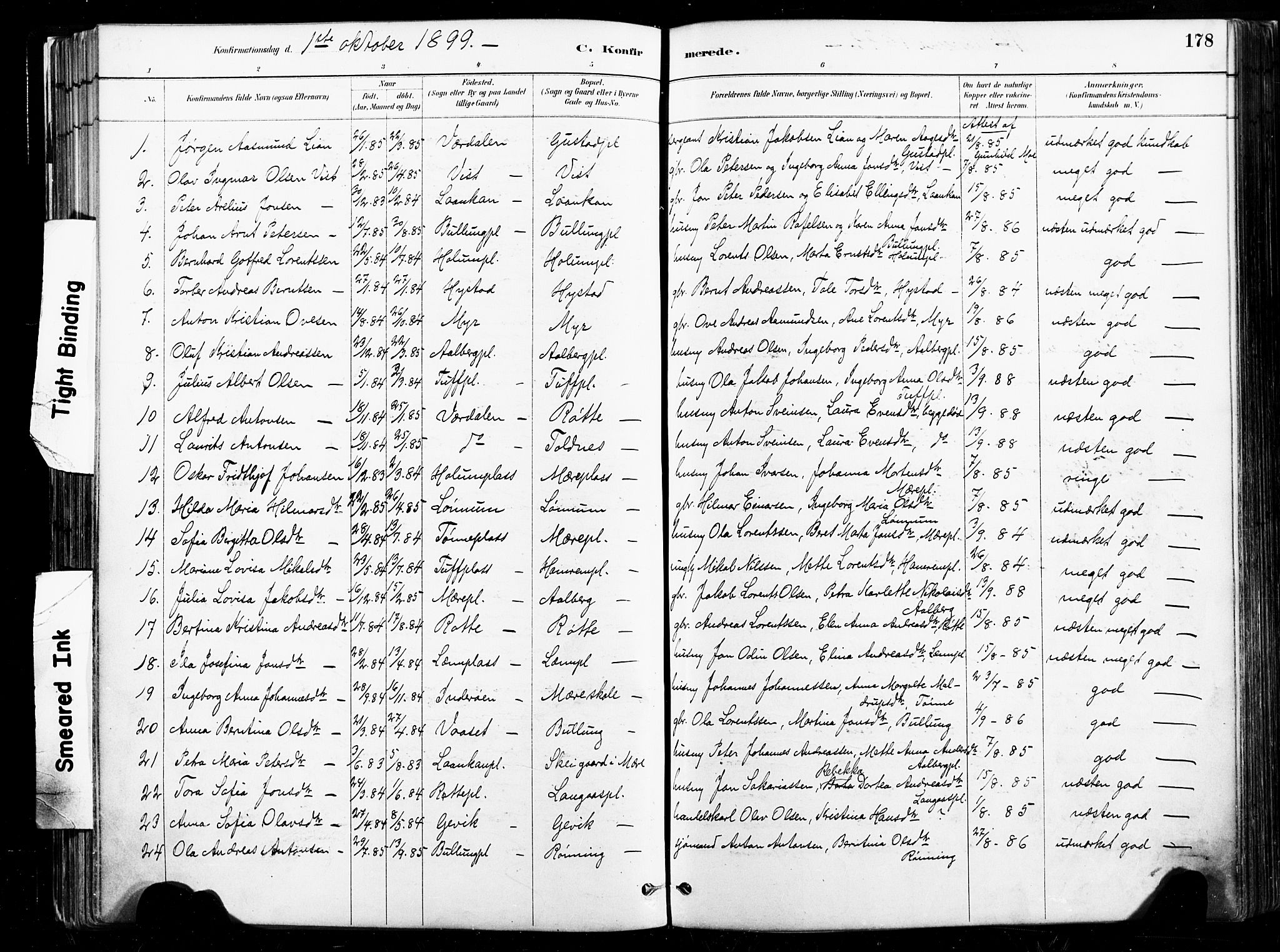 Ministerialprotokoller, klokkerbøker og fødselsregistre - Nord-Trøndelag, AV/SAT-A-1458/735/L0351: Parish register (official) no. 735A10, 1884-1908, p. 178