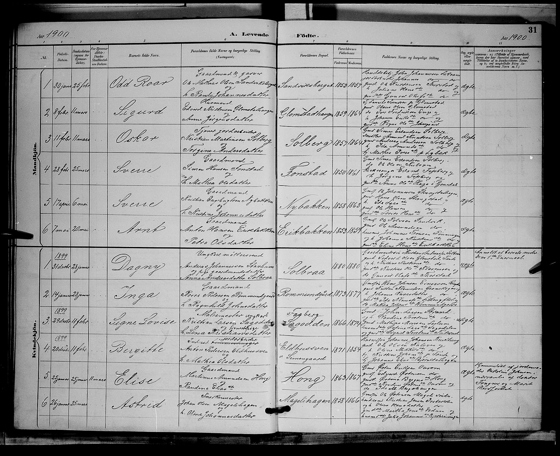 Øyer prestekontor, AV/SAH-PREST-084/H/Ha/Hab/L0004: Parish register (copy) no. 4, 1894-1905, p. 31