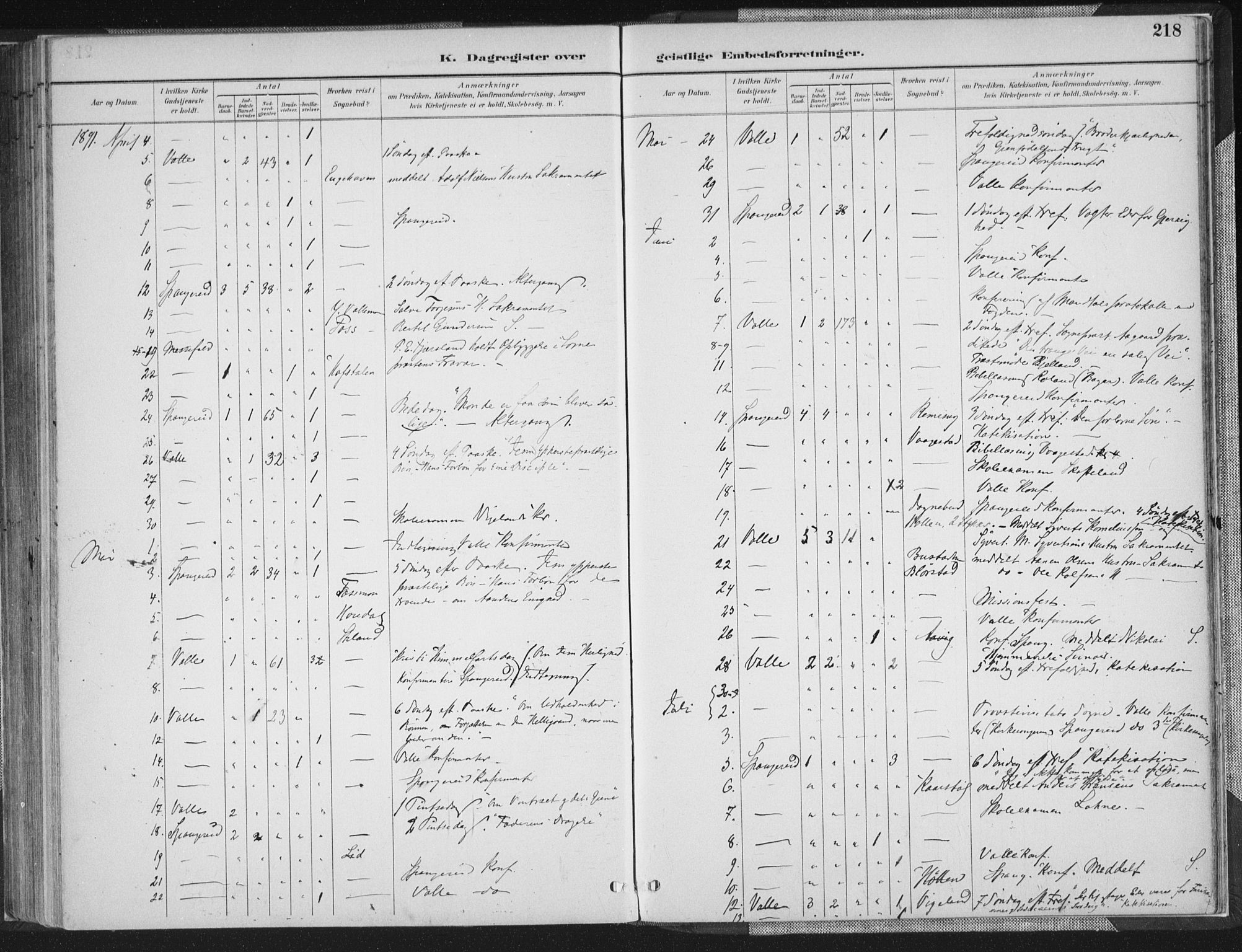 Sør-Audnedal sokneprestkontor, AV/SAK-1111-0039/F/Fa/Faa/L0004: Parish register (official) no. A 4, 1884-1909, p. 218