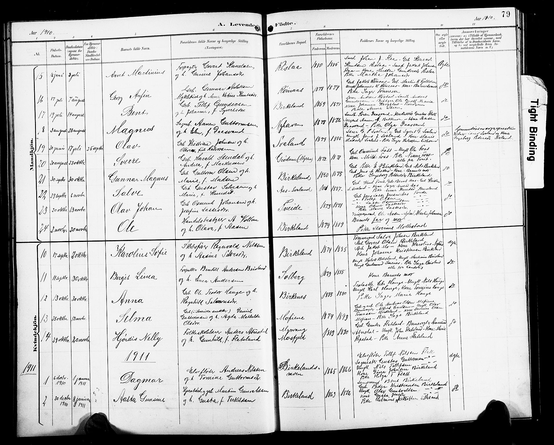 Birkenes sokneprestkontor, SAK/1111-0004/F/Fb/L0004: Parish register (copy) no. B 4, 1893-1930, p. 79