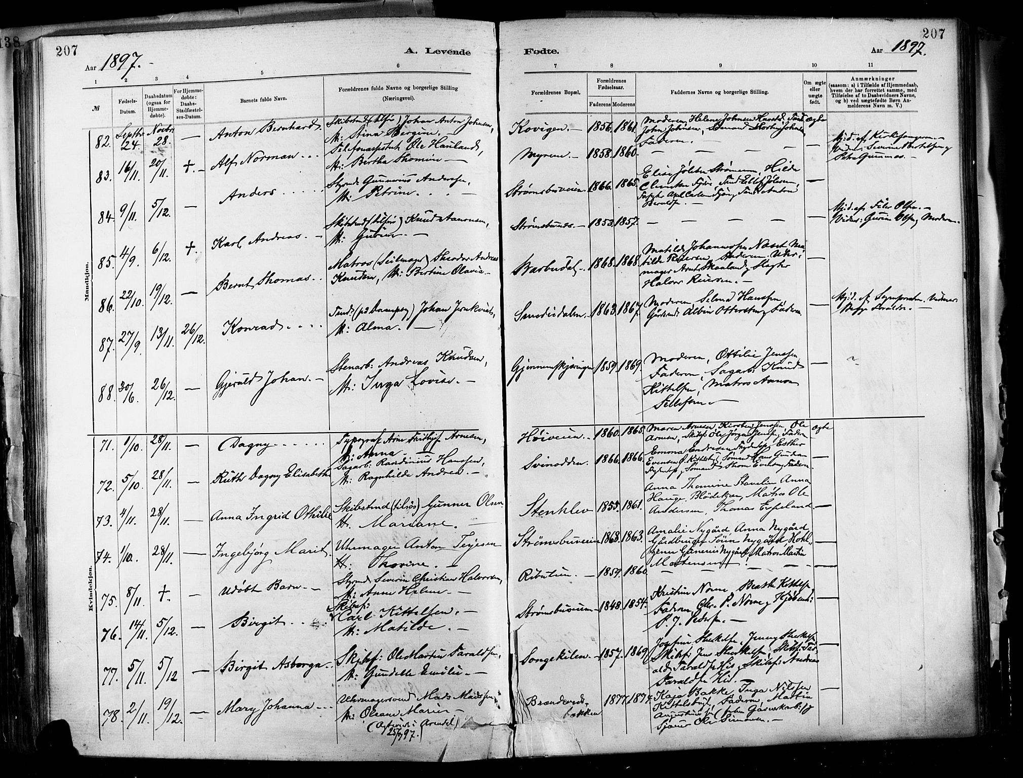 Barbu sokneprestkontor, SAK/1111-0003/F/Fa/L0002: Parish register (official) no. A 2, 1883-1898, p. 207