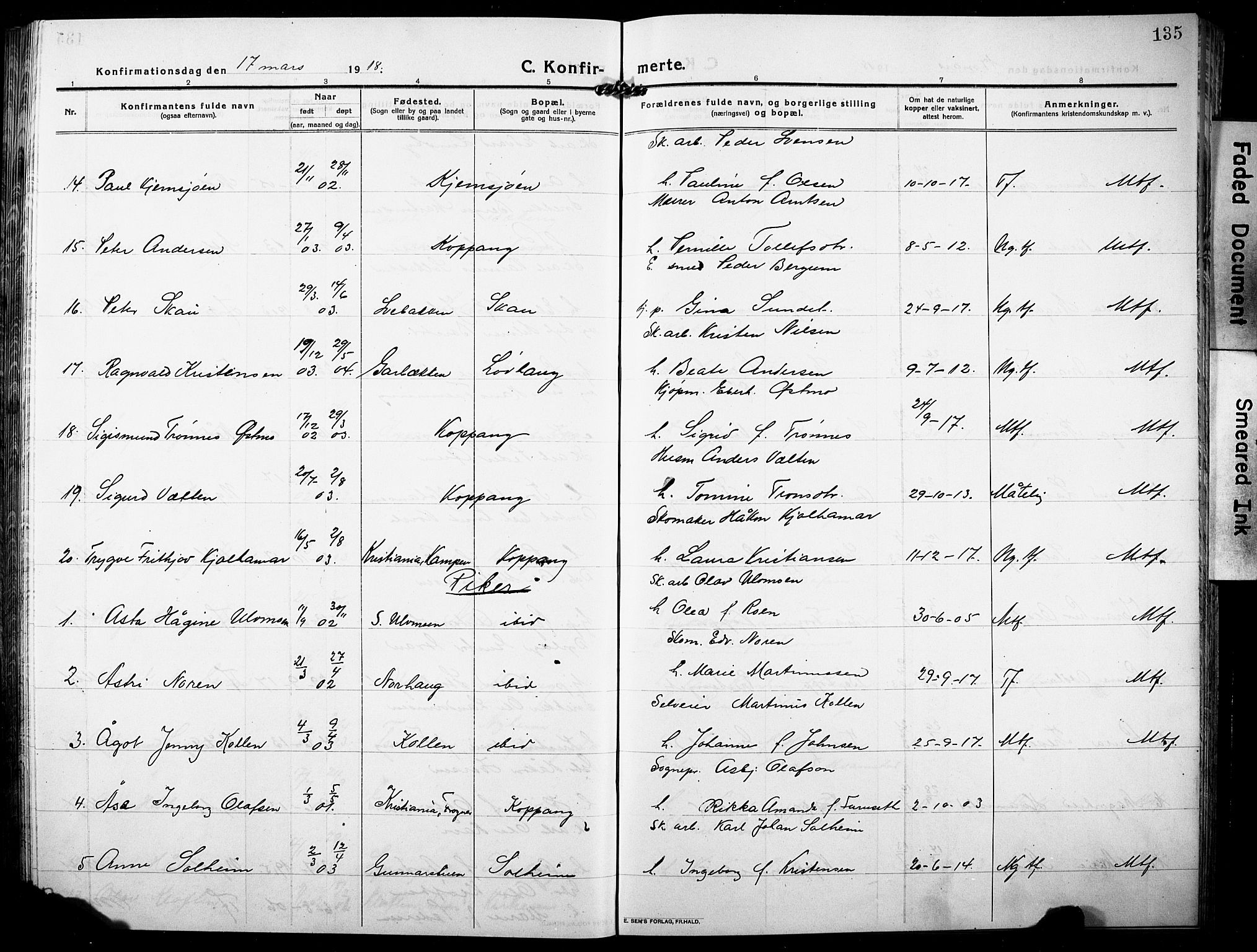 Stor-Elvdal prestekontor, SAH/PREST-052/H/Ha/Hab/L0005: Parish register (copy) no. 5, 1913-1932, p. 135