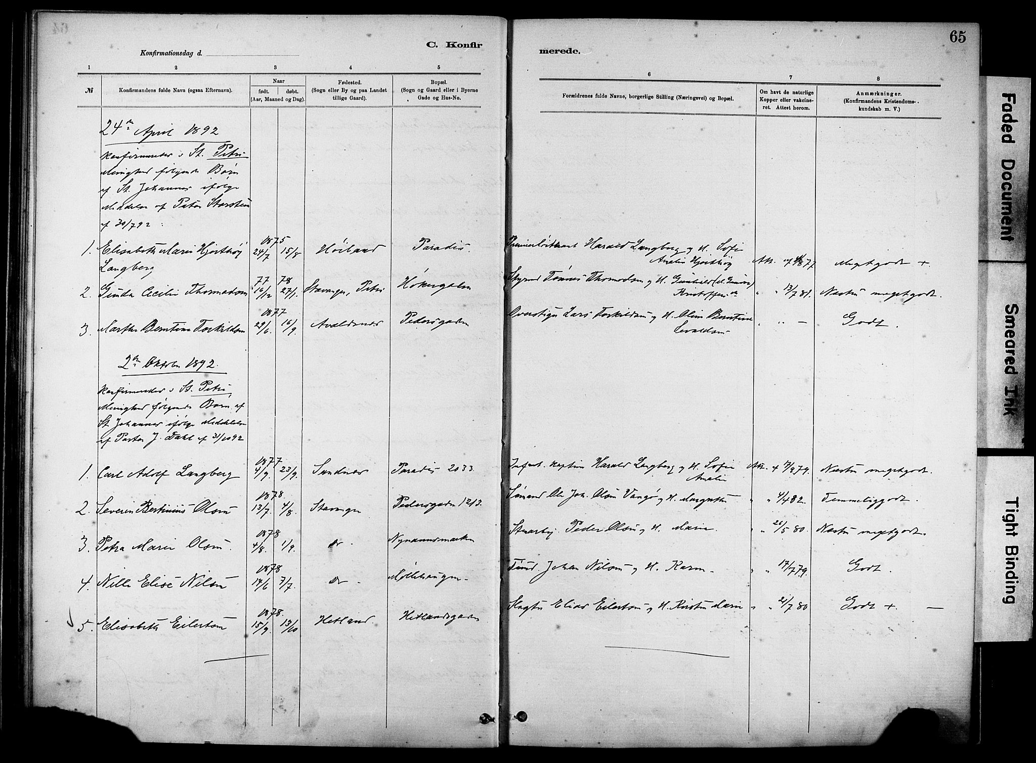St. Johannes sokneprestkontor, SAST/A-101814/001/30/30BA/L0002: Parish register (official) no. A 2, 1885-1899, p. 65