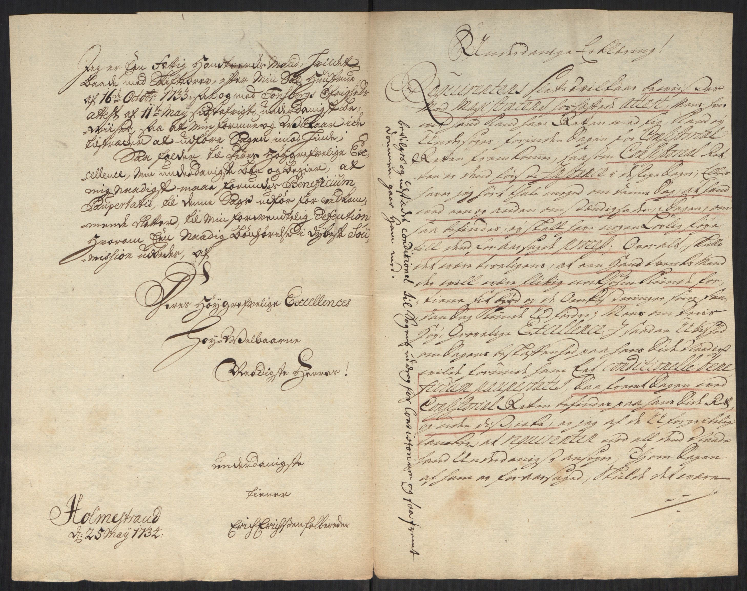 Stattholderembetet 1572-1771, AV/RA-EA-2870/Ef/L0107: Brev fra embetsmenn og andre, 1733-1734, p. 273