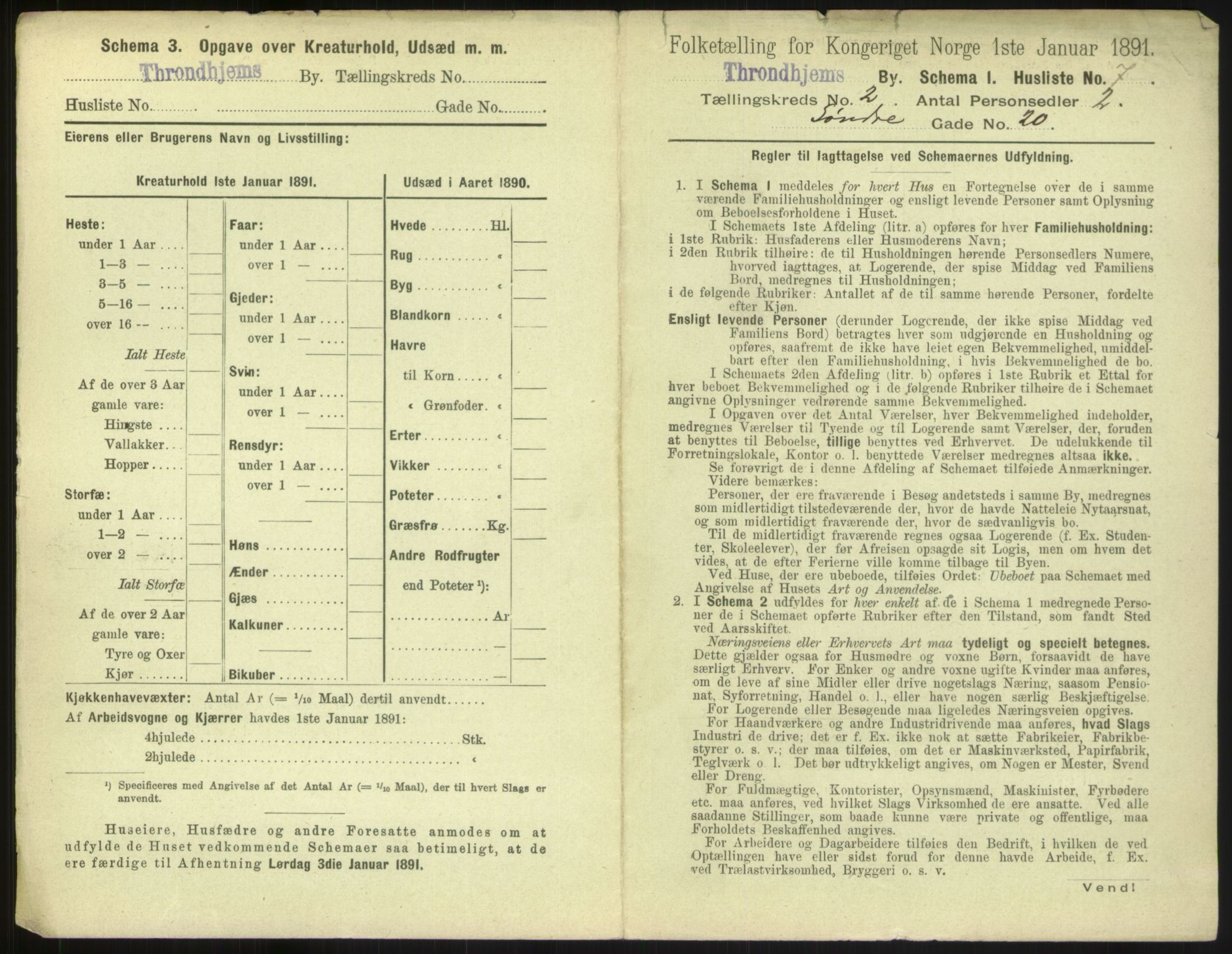 RA, 1891 census for 1601 Trondheim, 1891, p. 248