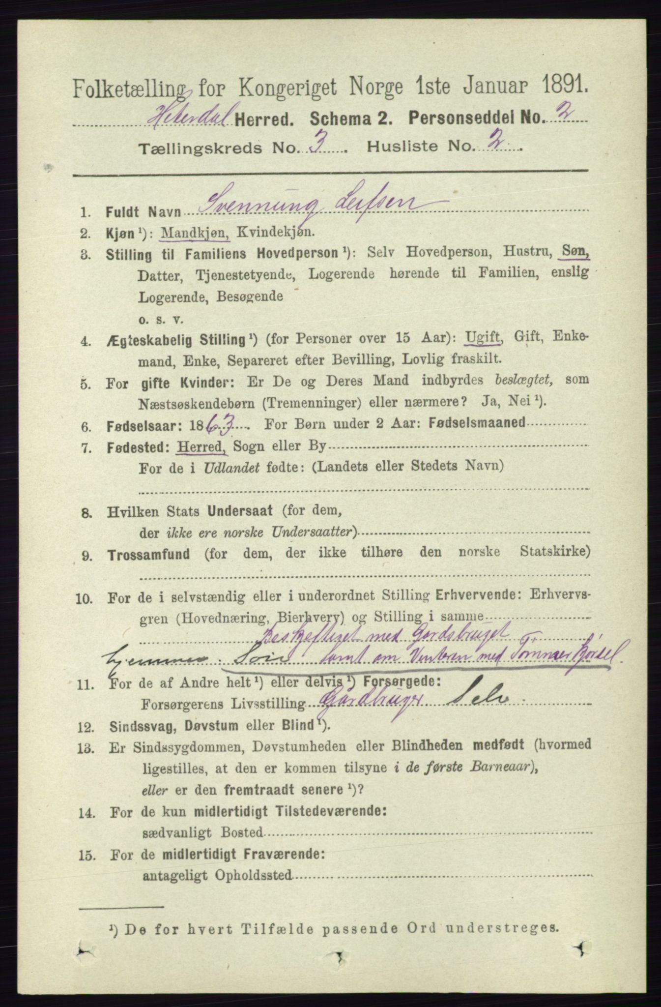 RA, 1891 census for 0823 Heddal, 1891, p. 1008