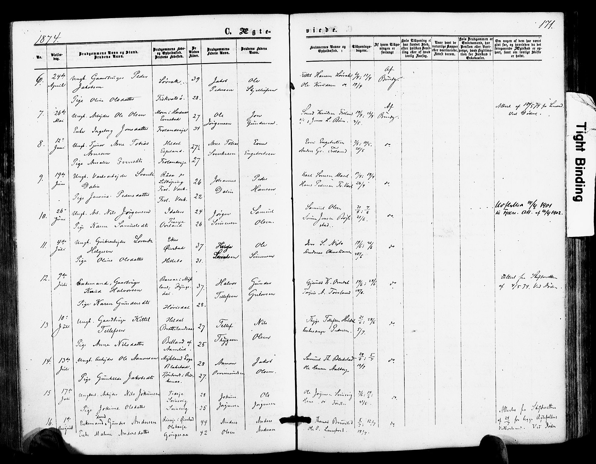 Froland sokneprestkontor, AV/SAK-1111-0013/F/Fa/L0003: Parish register (official) no. A 3, 1864-1881, p. 171