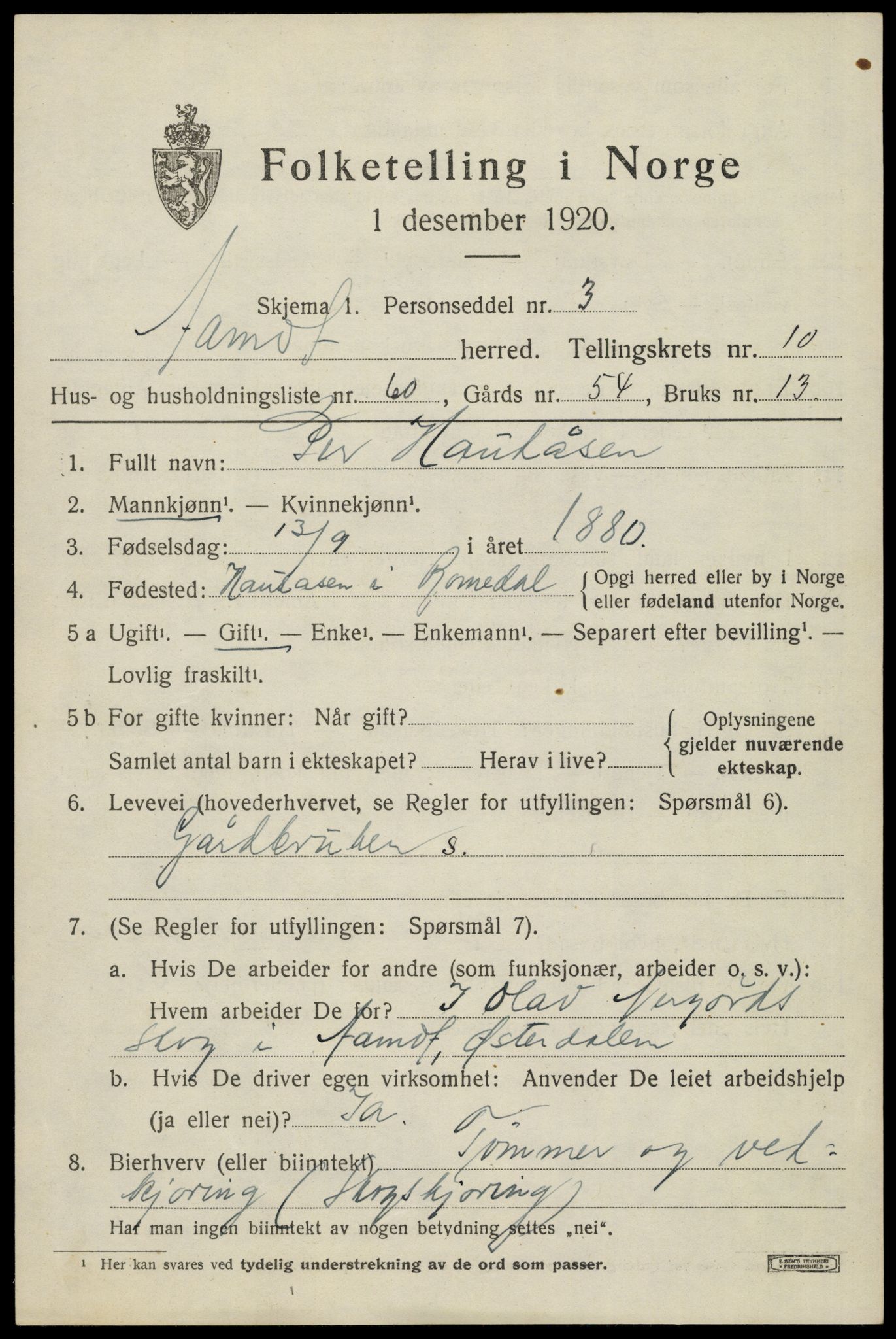 SAH, 1920 census for Åmot, 1920, p. 9393