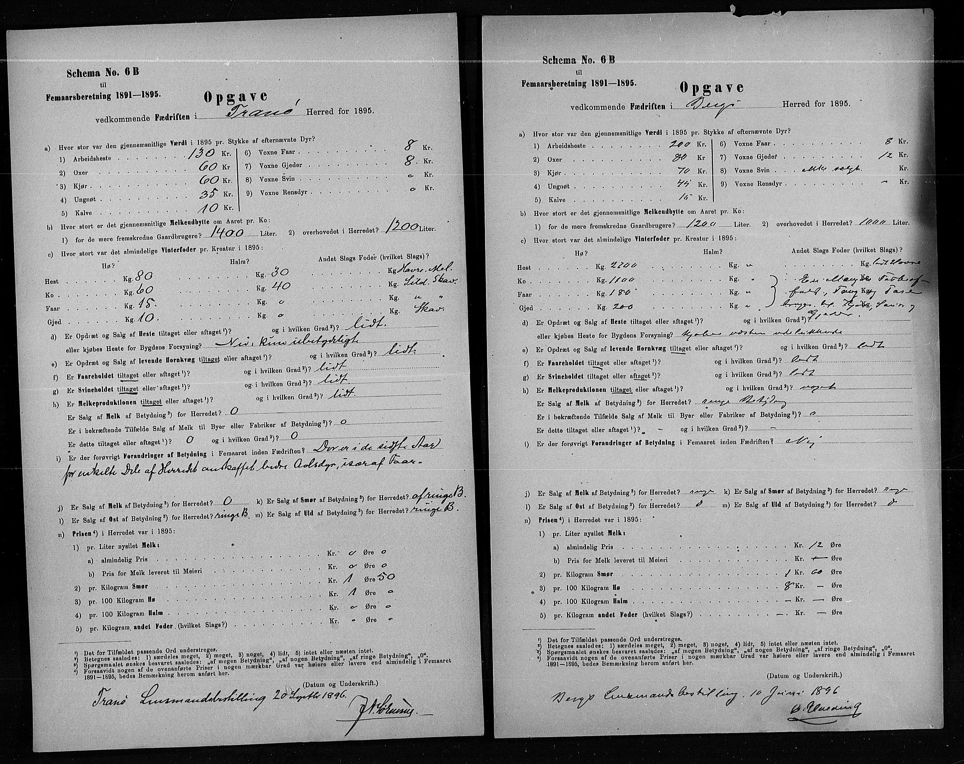 Statistisk sentralbyrå, Næringsøkonomiske emner, Generelt - Amtmennenes femårsberetninger, AV/RA-S-2233/F/Fa/L0080: --, 1895, p. 245