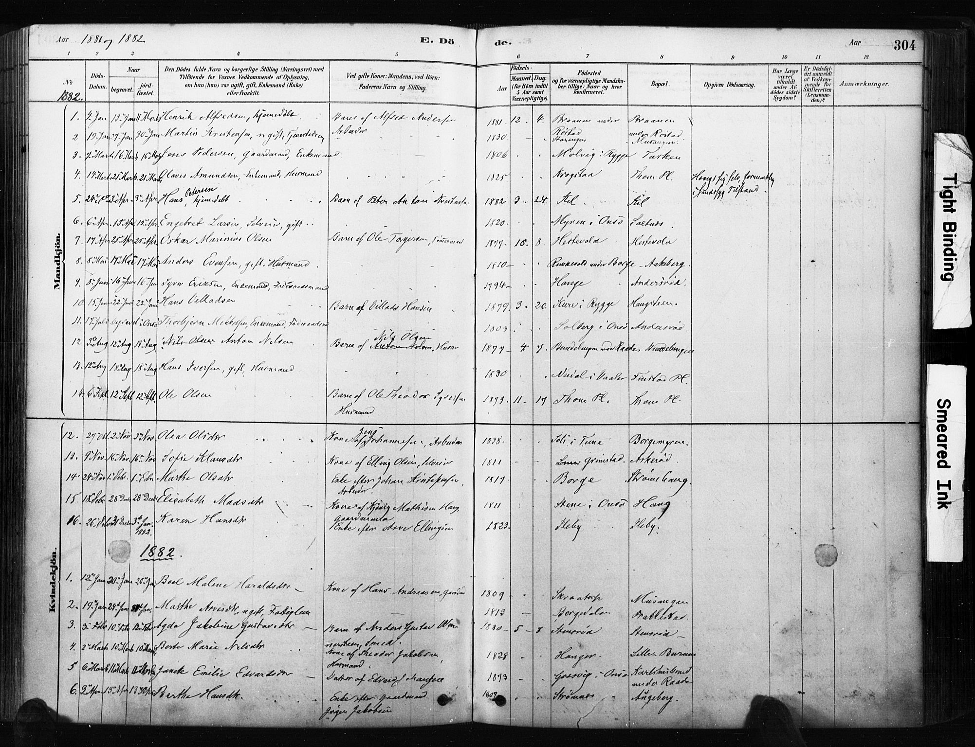 Råde prestekontor kirkebøker, AV/SAO-A-2009/F/Fa/L0007: Parish register (official) no. 7, 1878-1902, p. 304