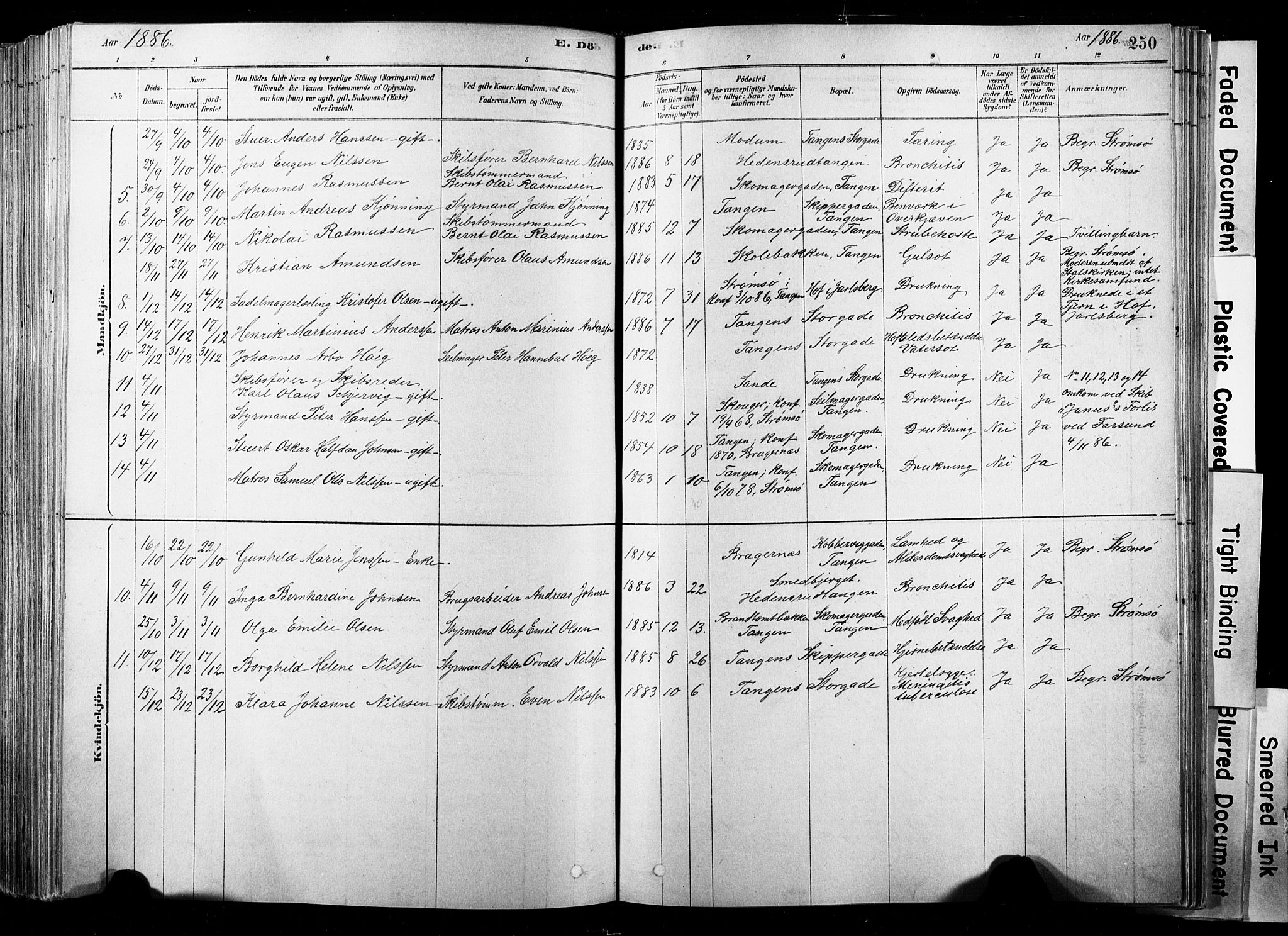 Strømsø kirkebøker, SAKO/A-246/F/Fb/L0006: Parish register (official) no. II 6, 1879-1910, p. 250