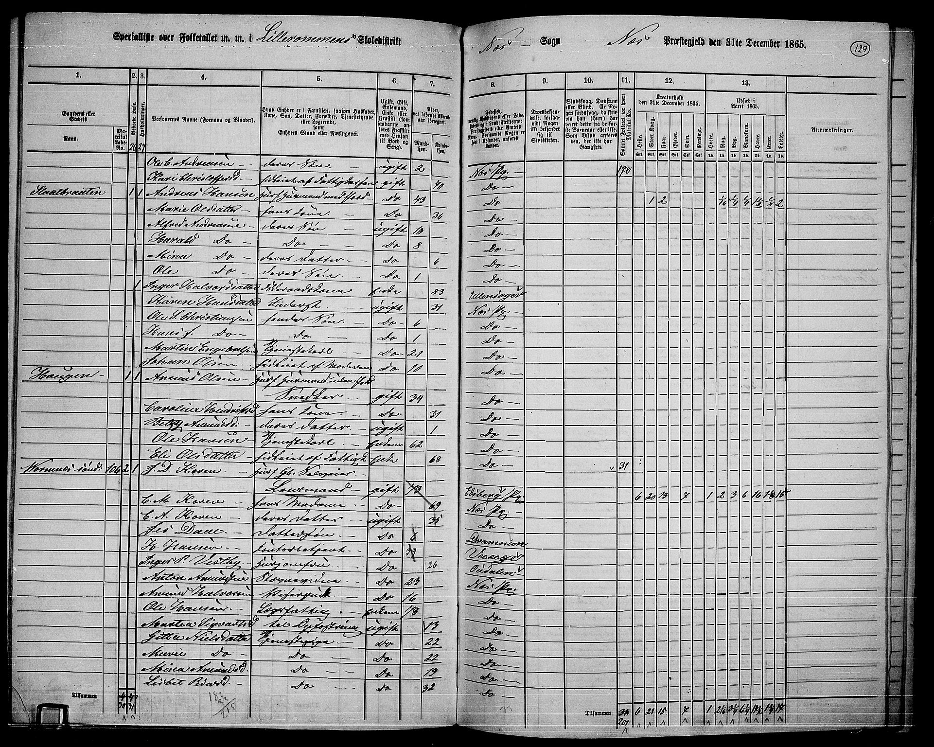 RA, 1865 census for Nes, 1865, p. 116