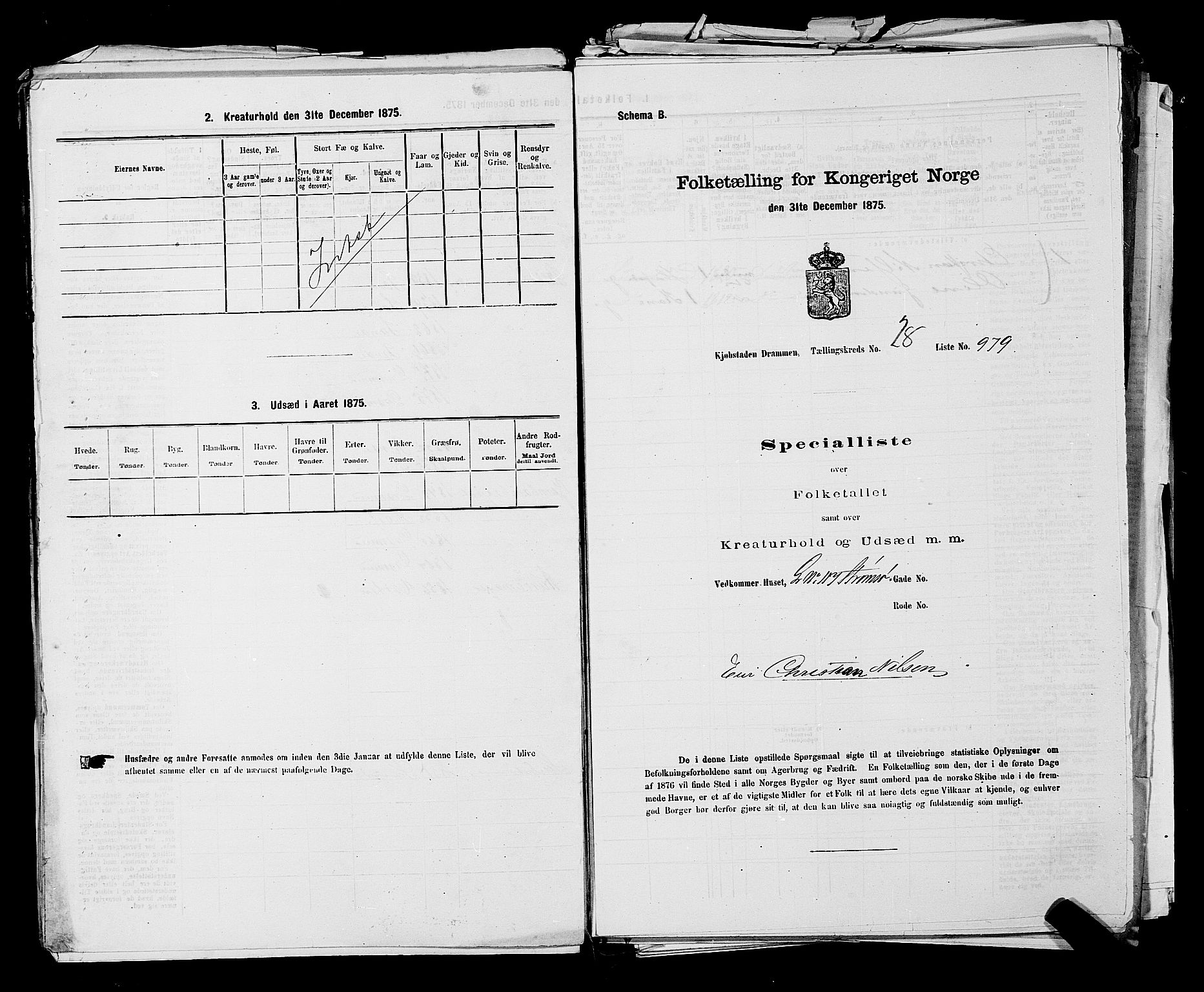 SAKO, 1875 census for 0602 Drammen, 1875, p. 2689